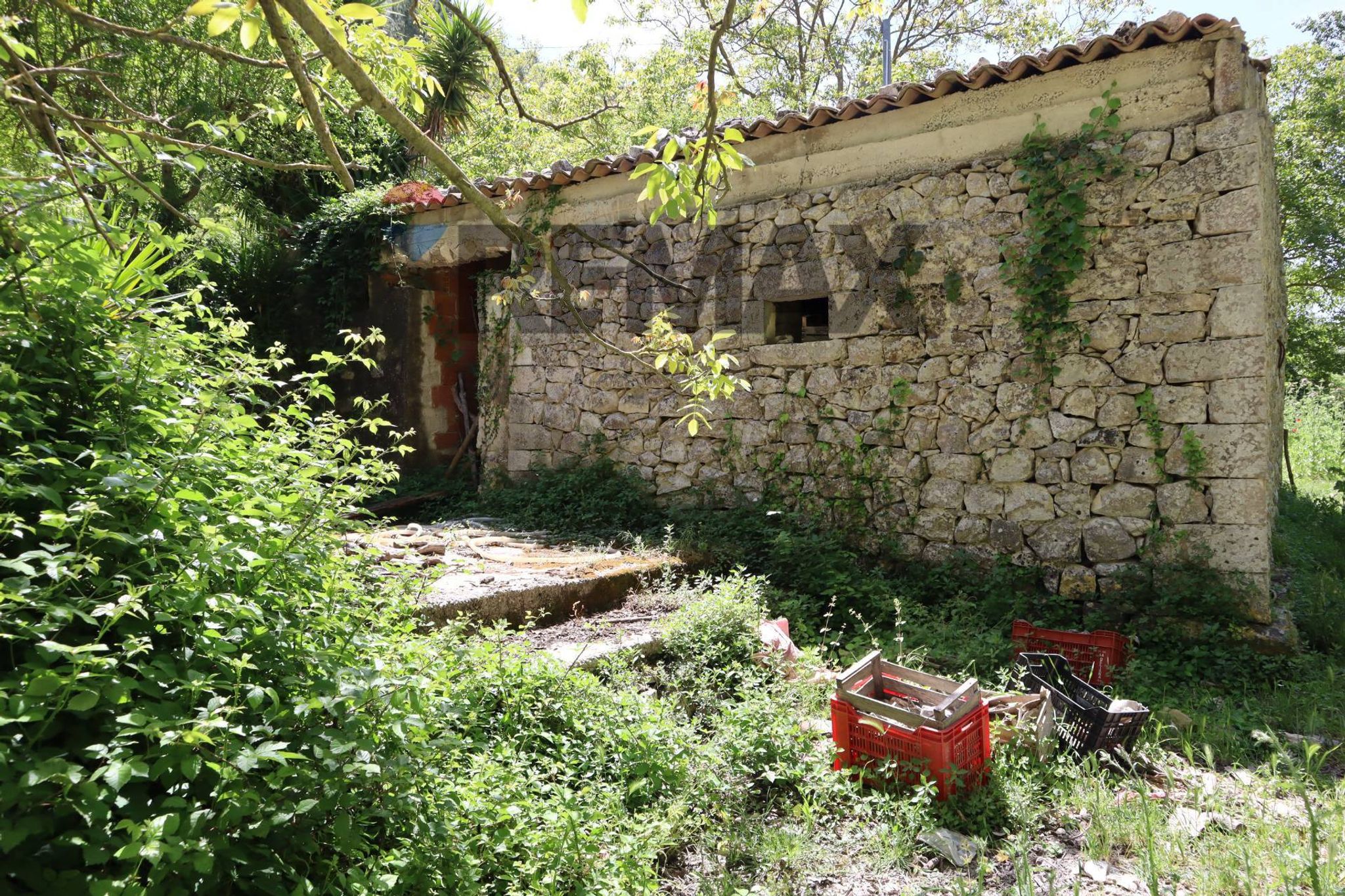Giardino