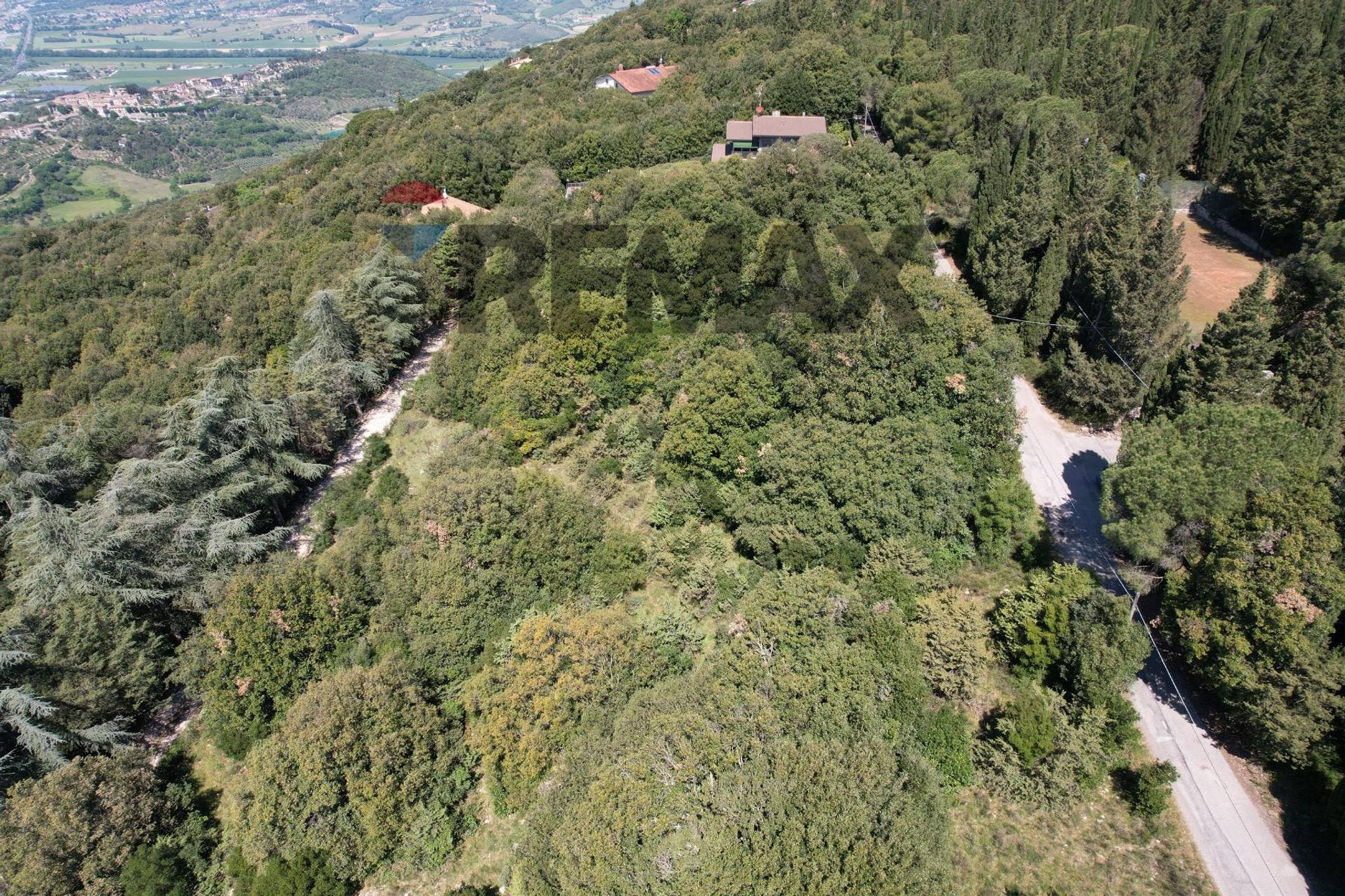 Vista delle montagne