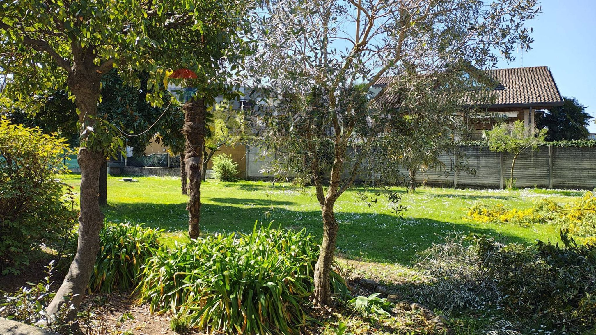 Giardino