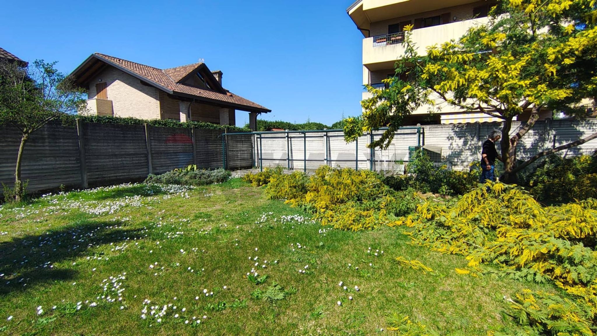 Giardino