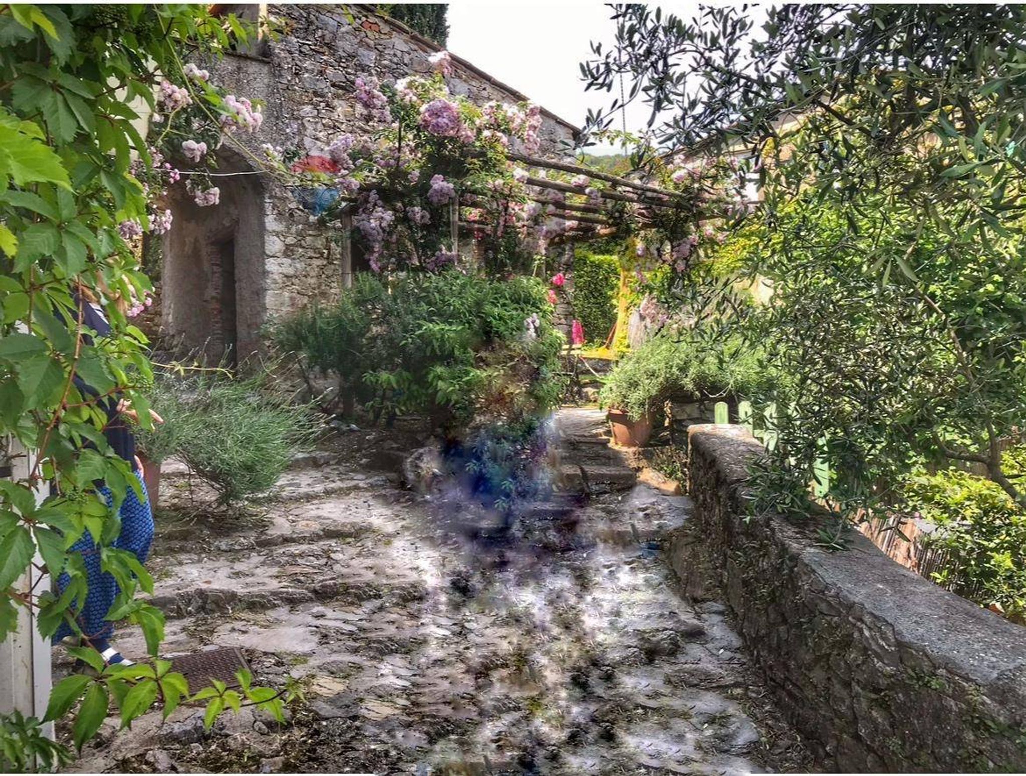 Giardino