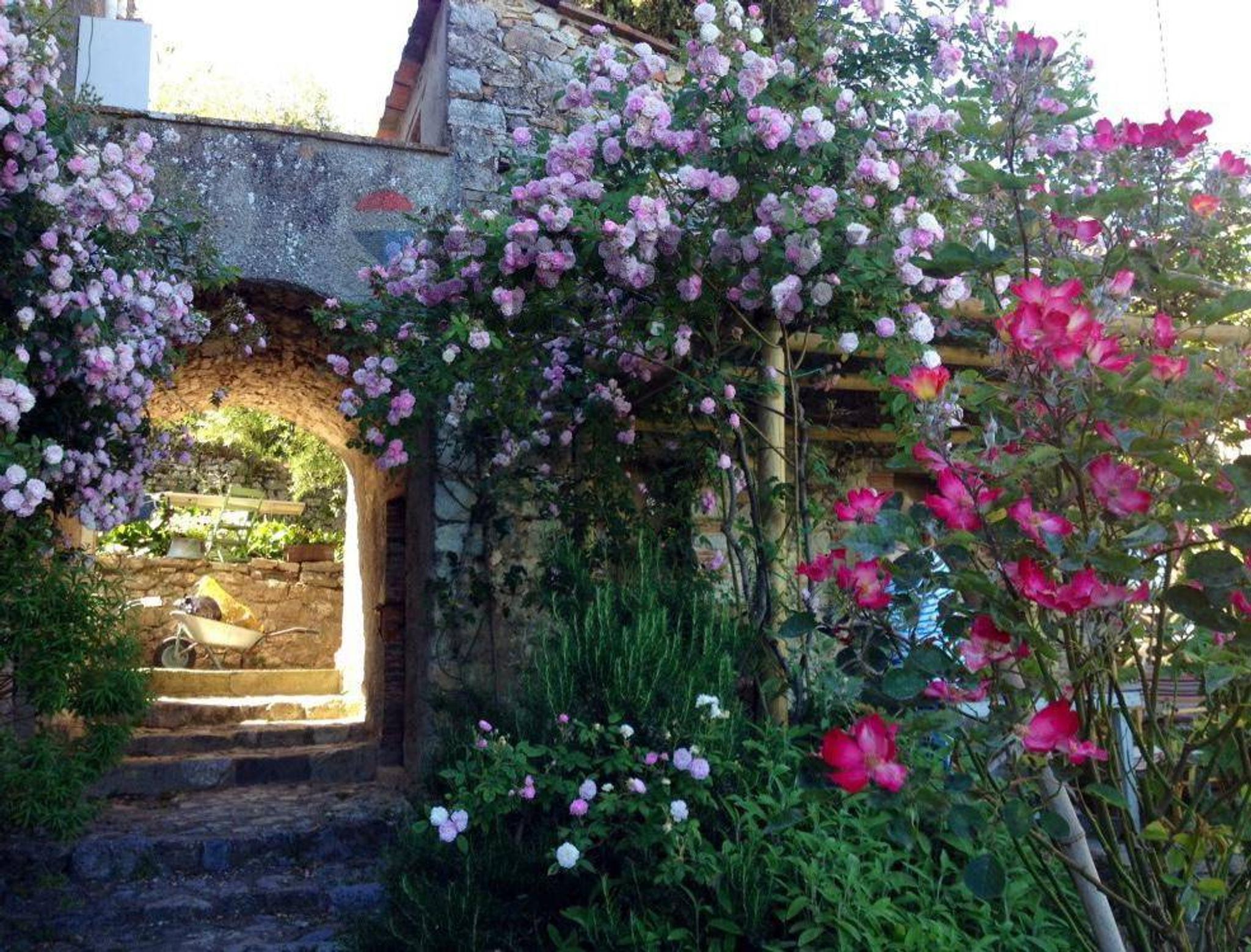 Giardino