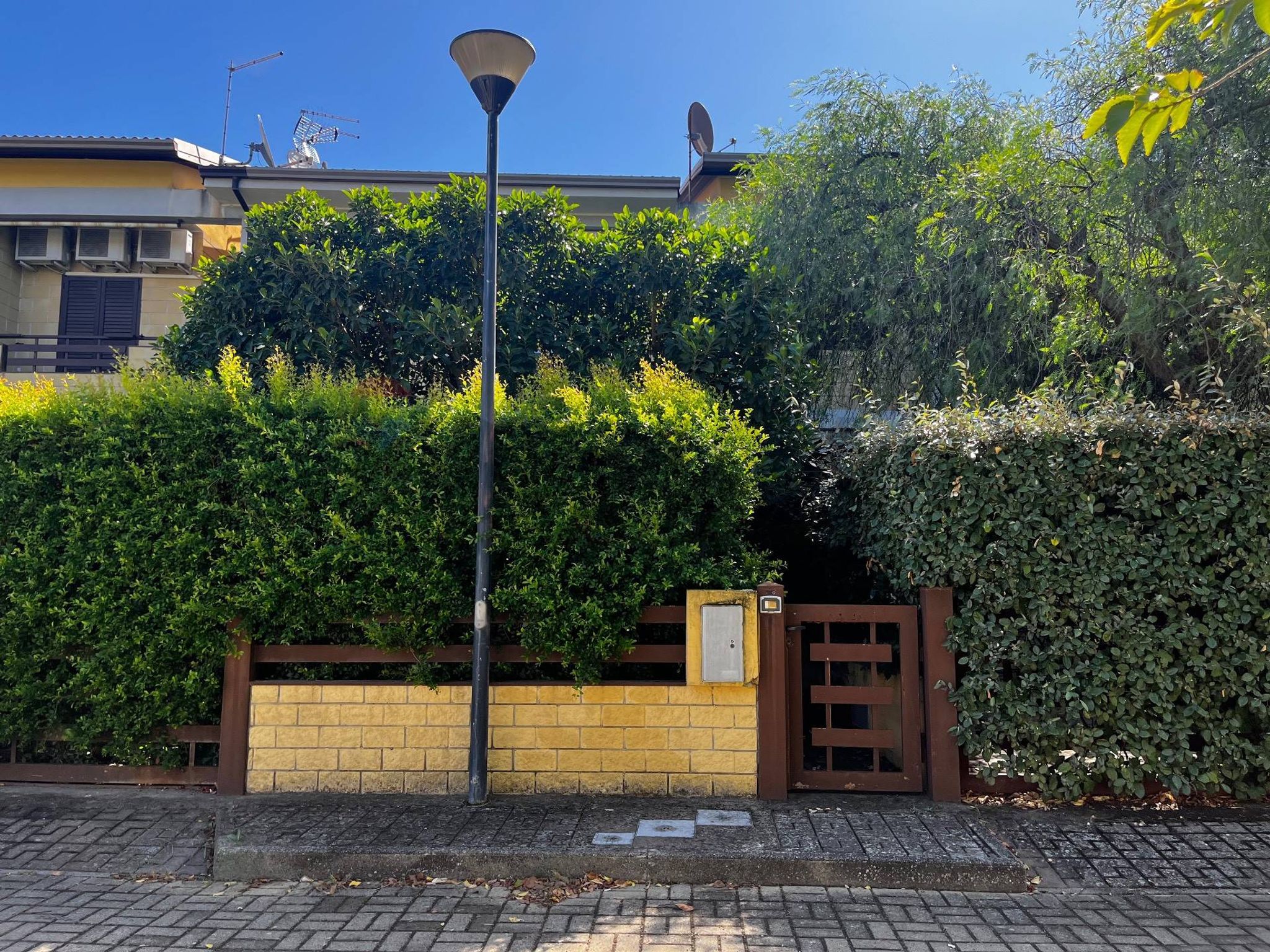 Giardino