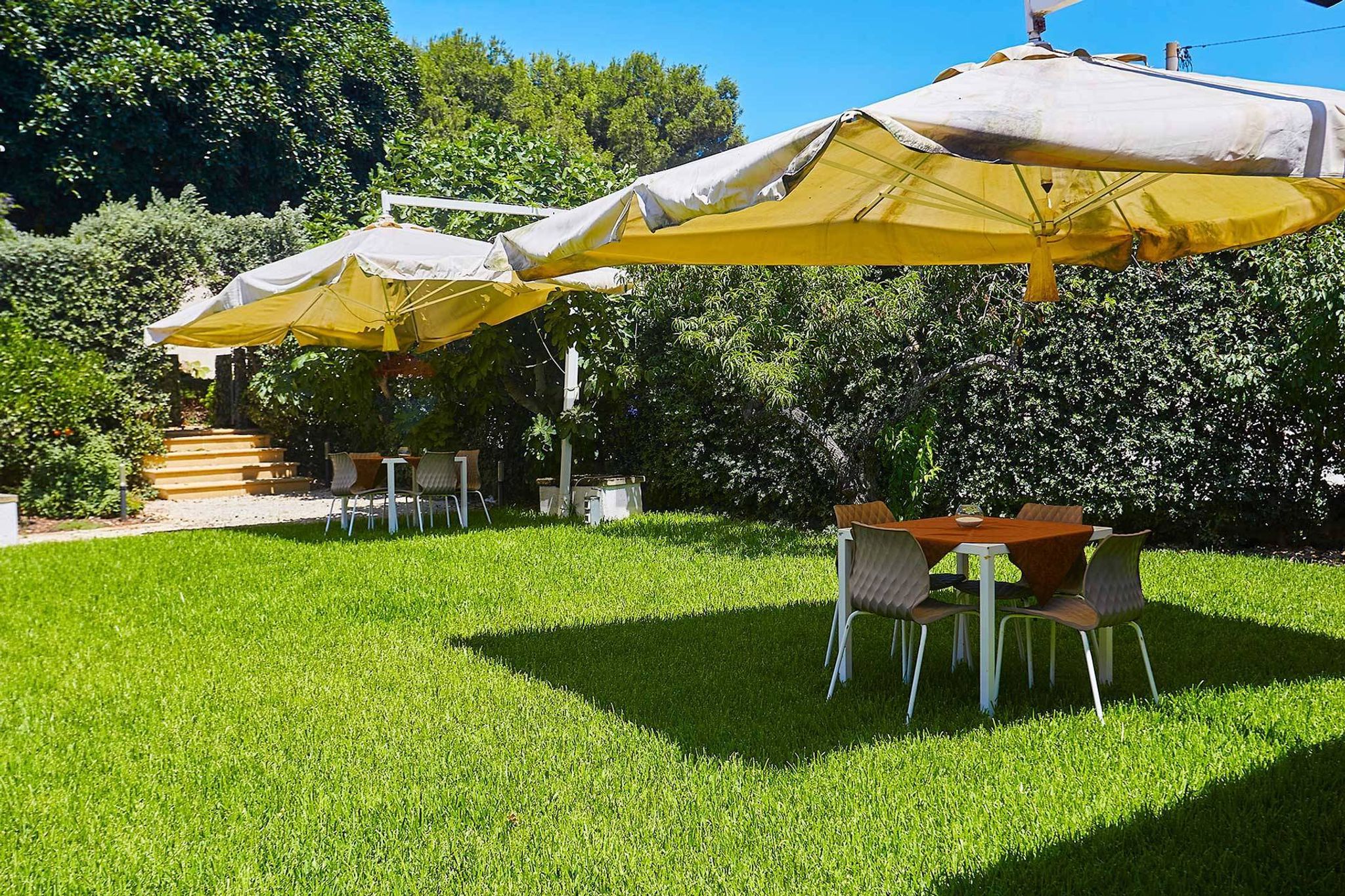 Giardino