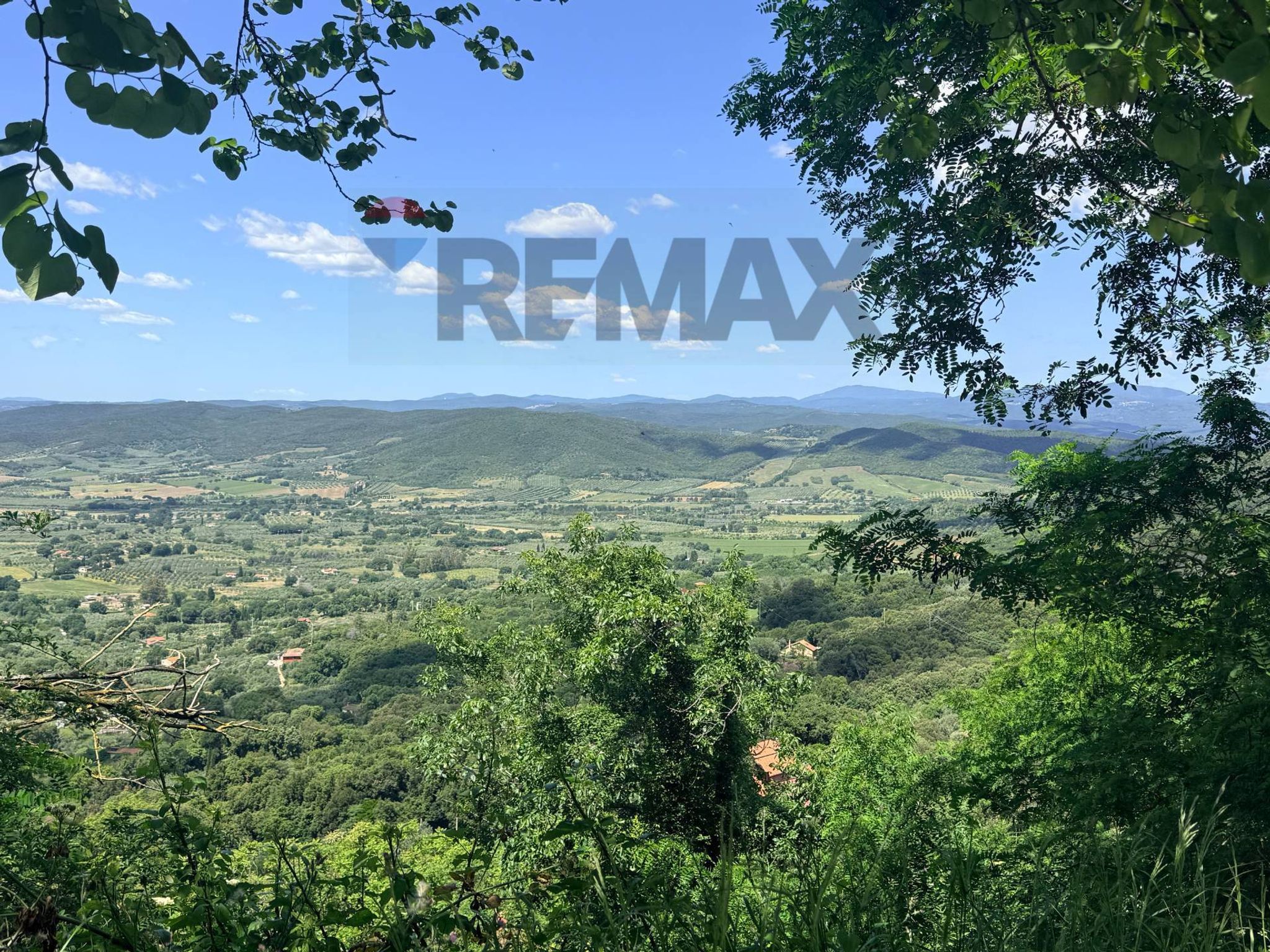 Property in Gavorrano
