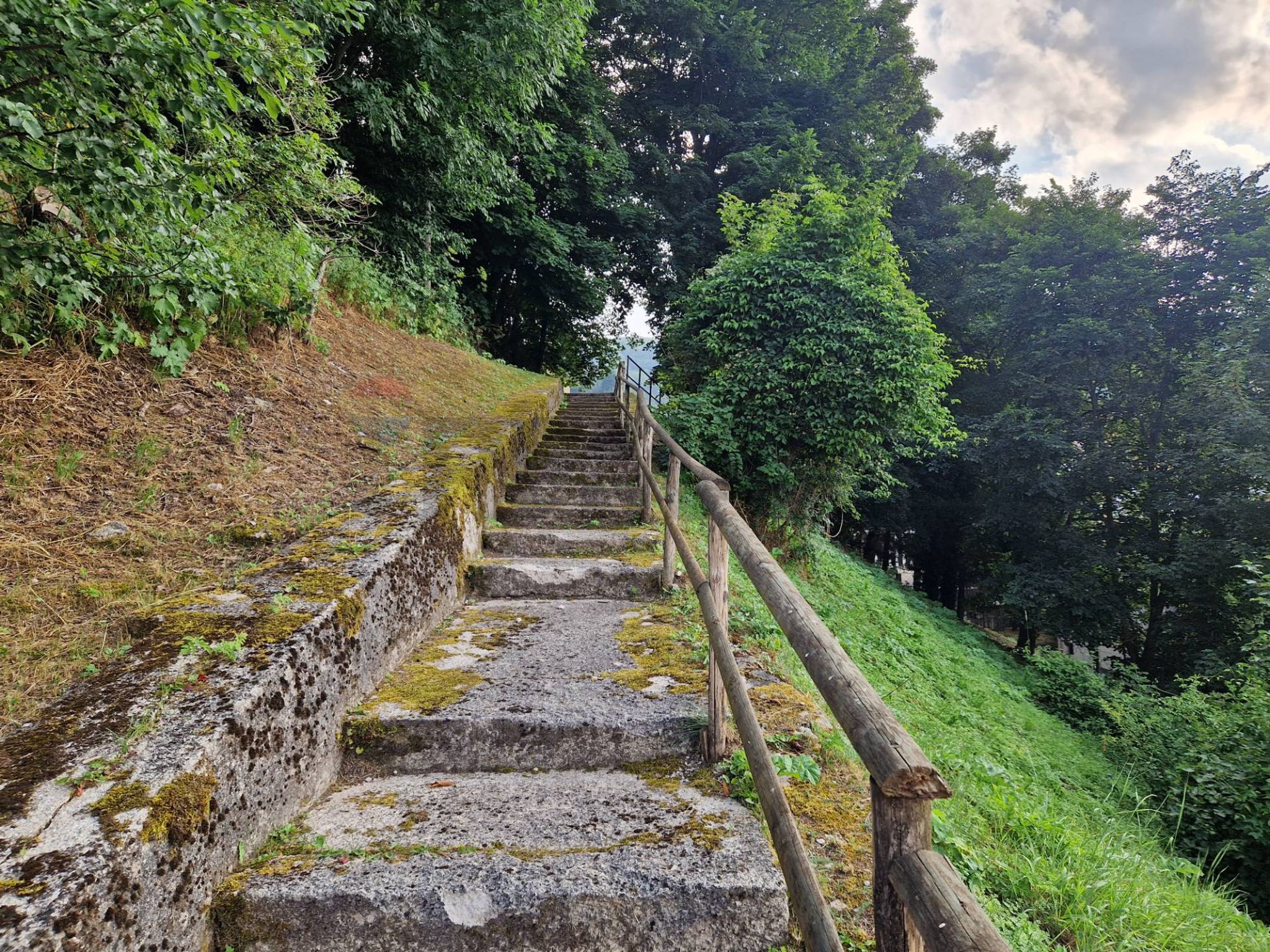Giardino