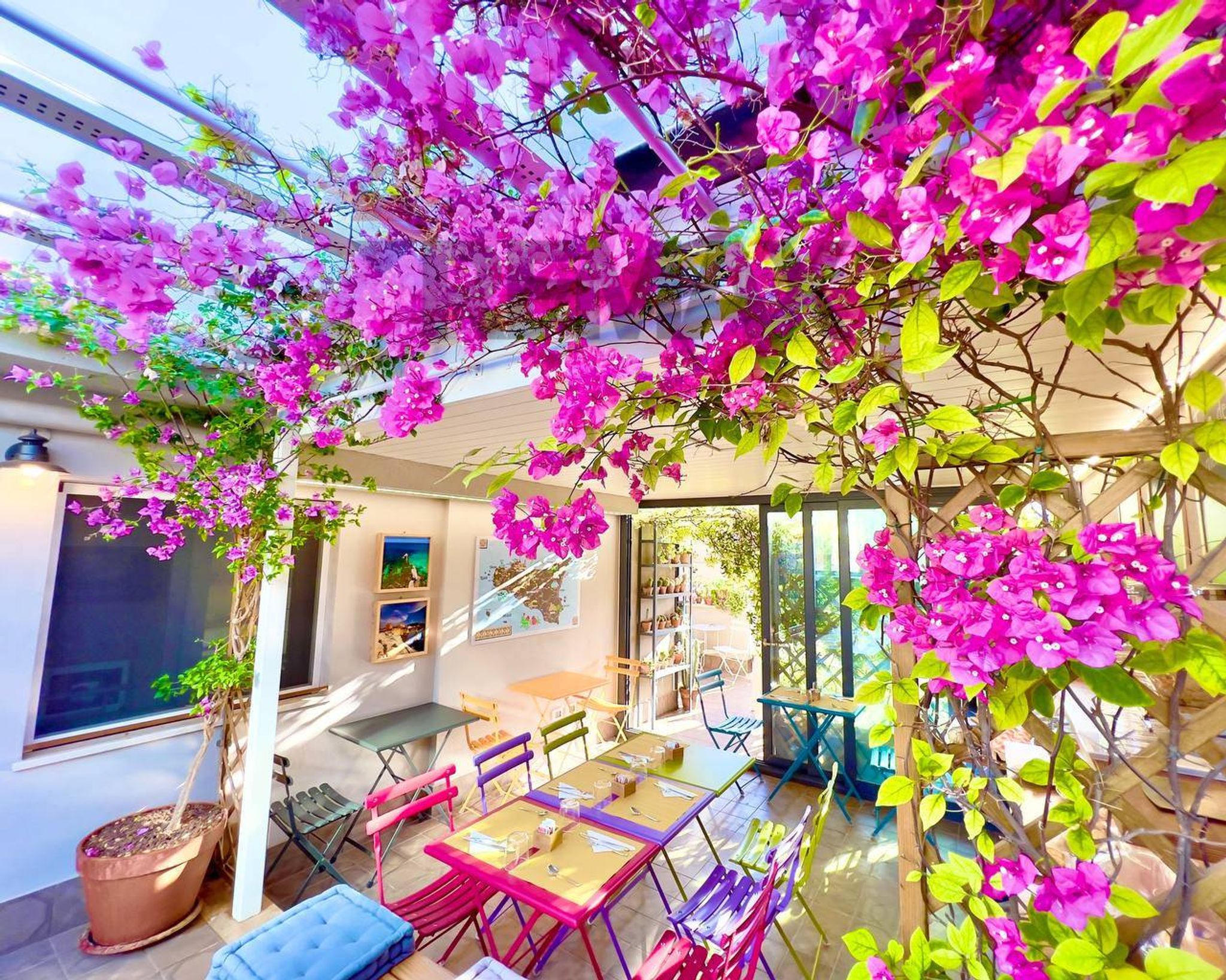 Terrazza