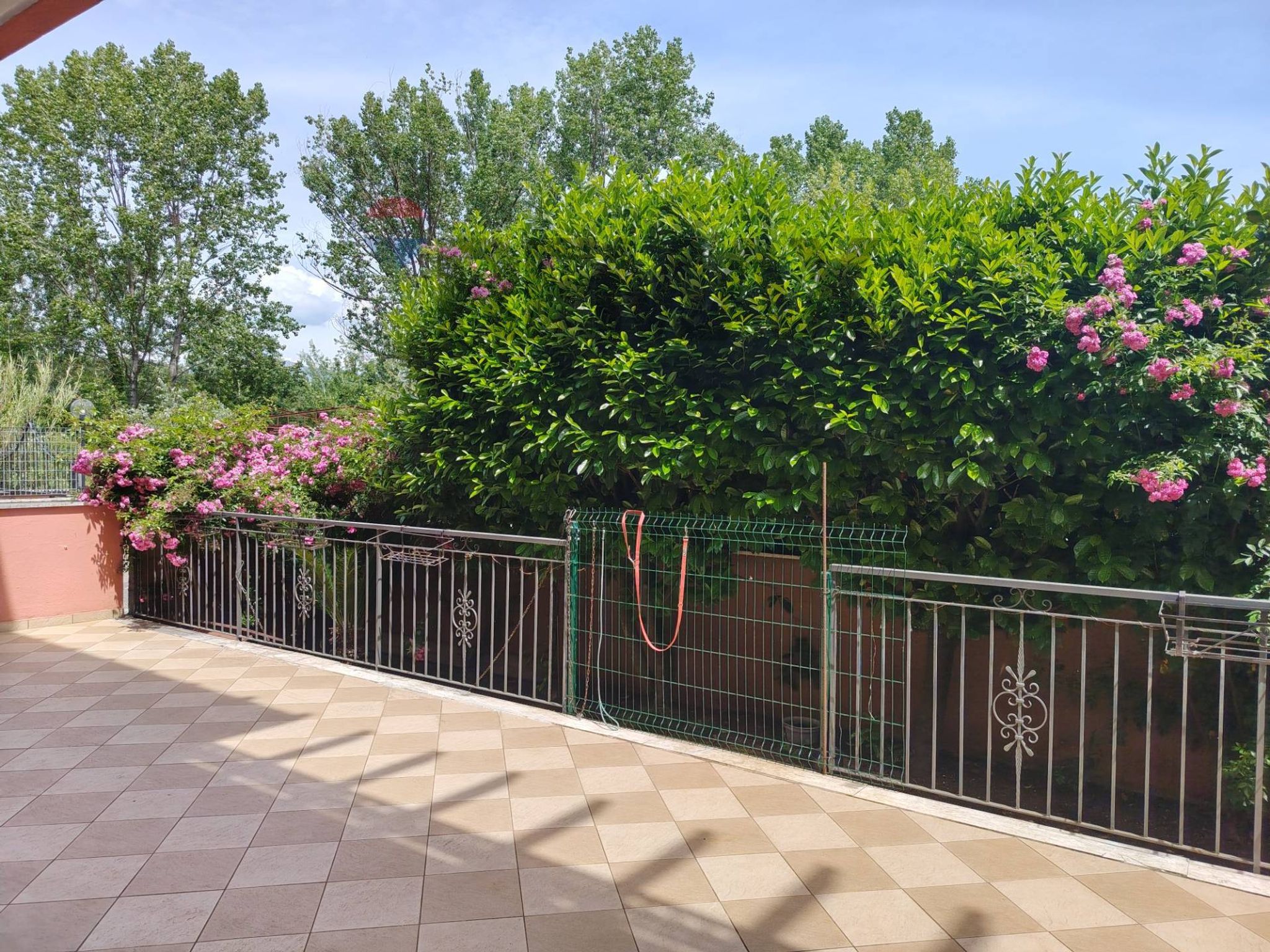 Terrazza
