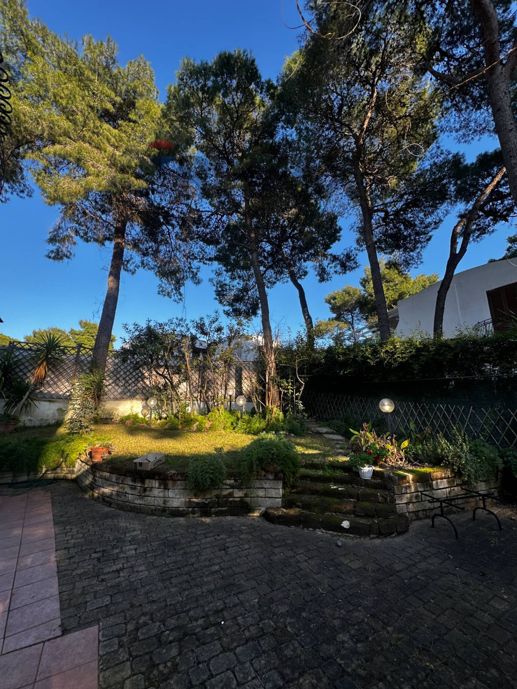 Giardino