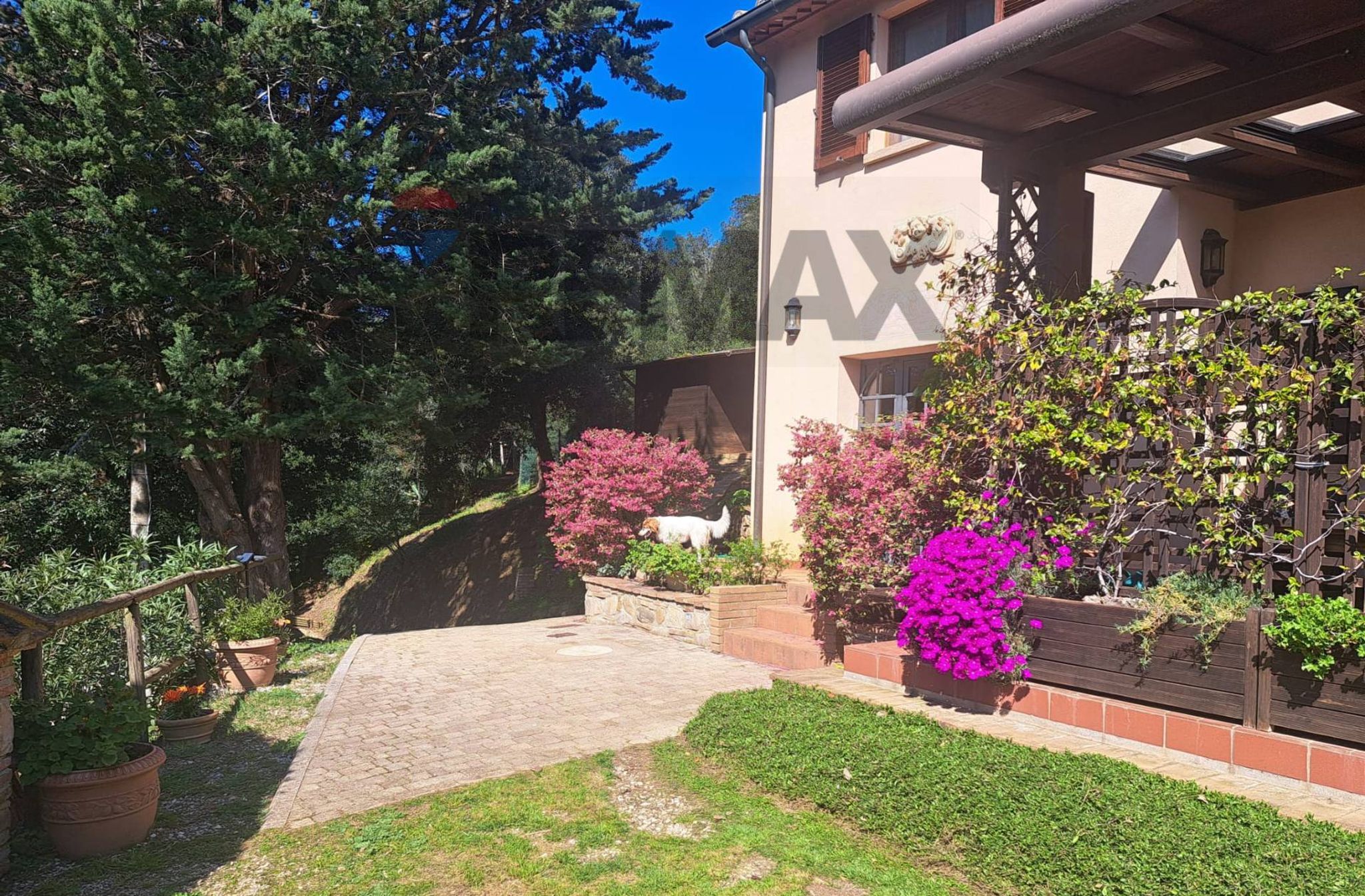 Giardino
