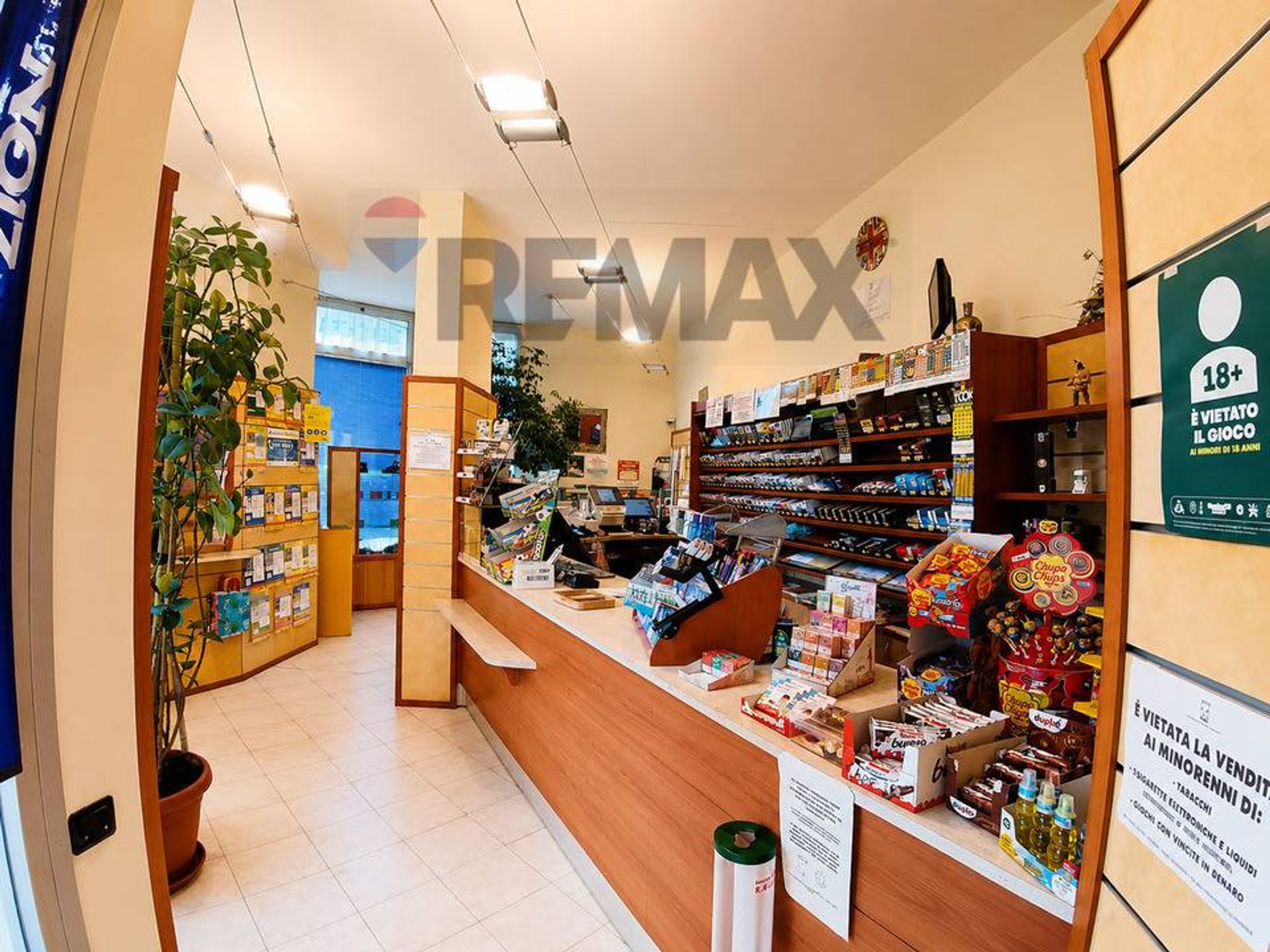 Property in Novara