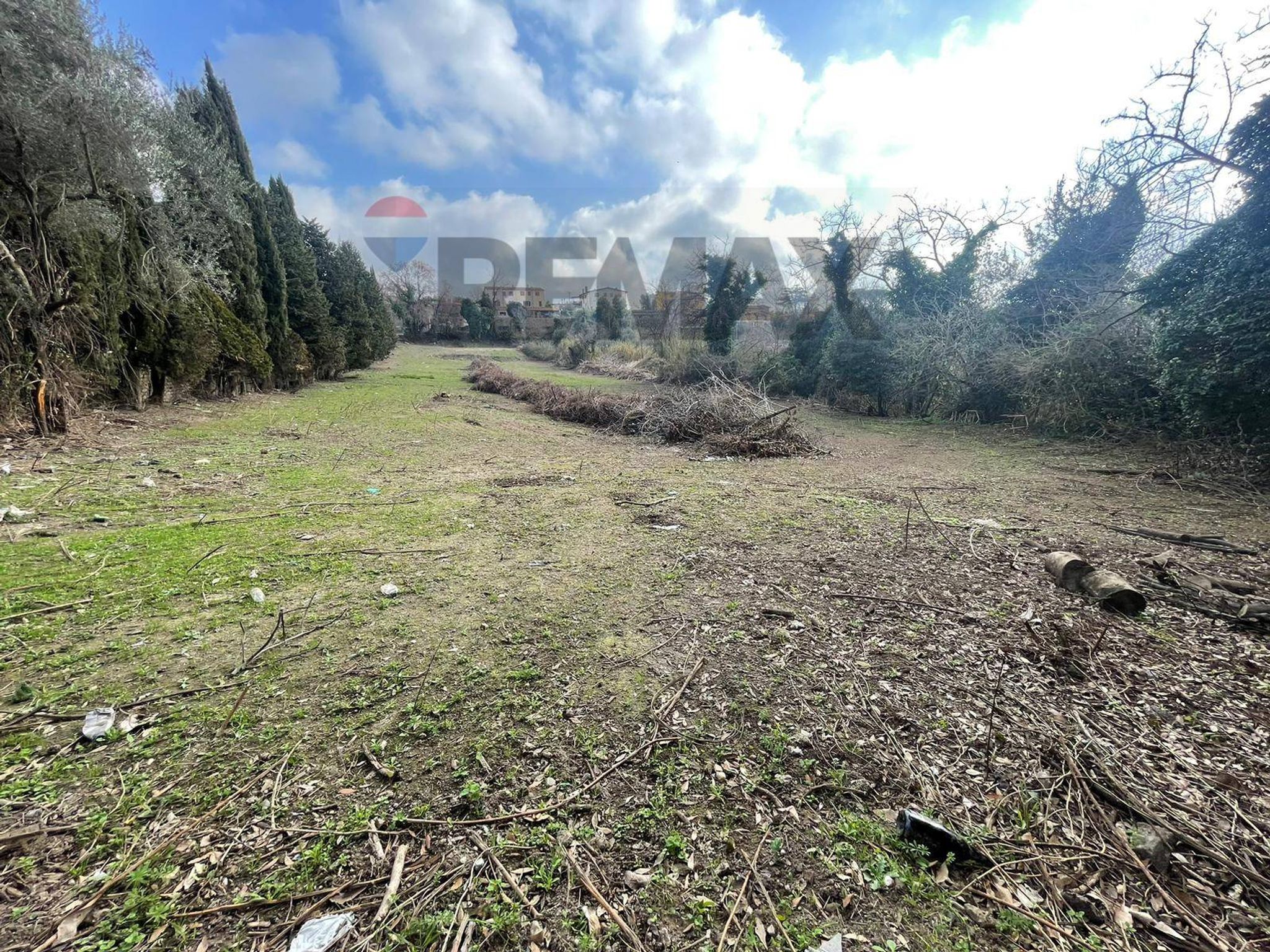 Vista delle montagne