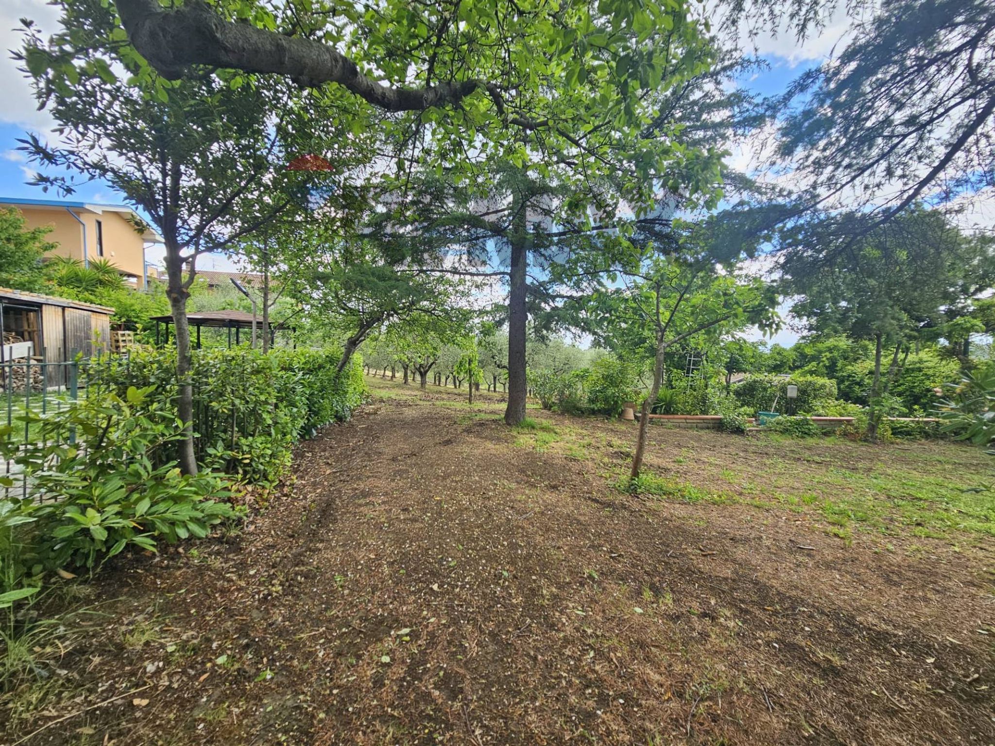 Giardino