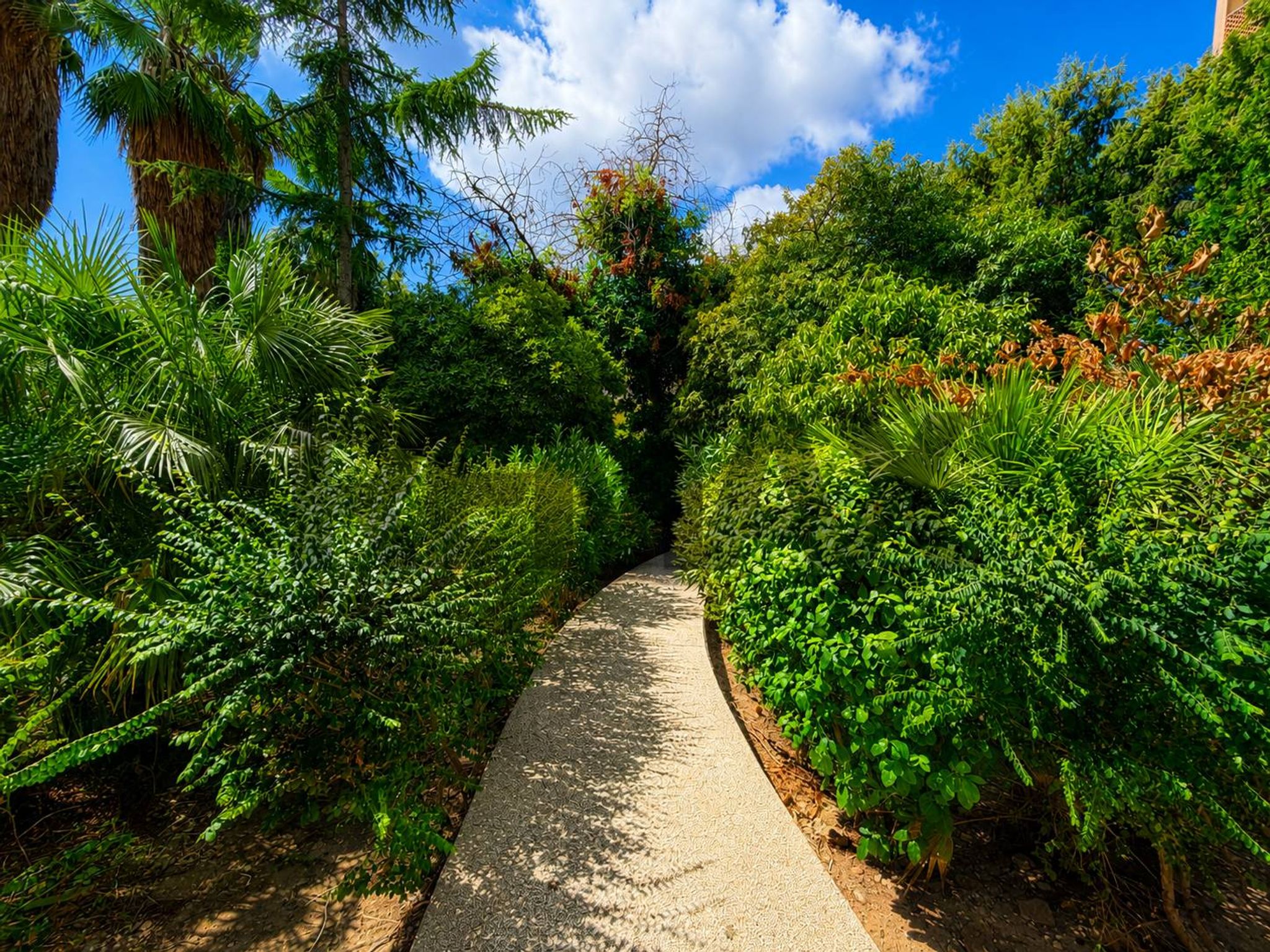 Giardino