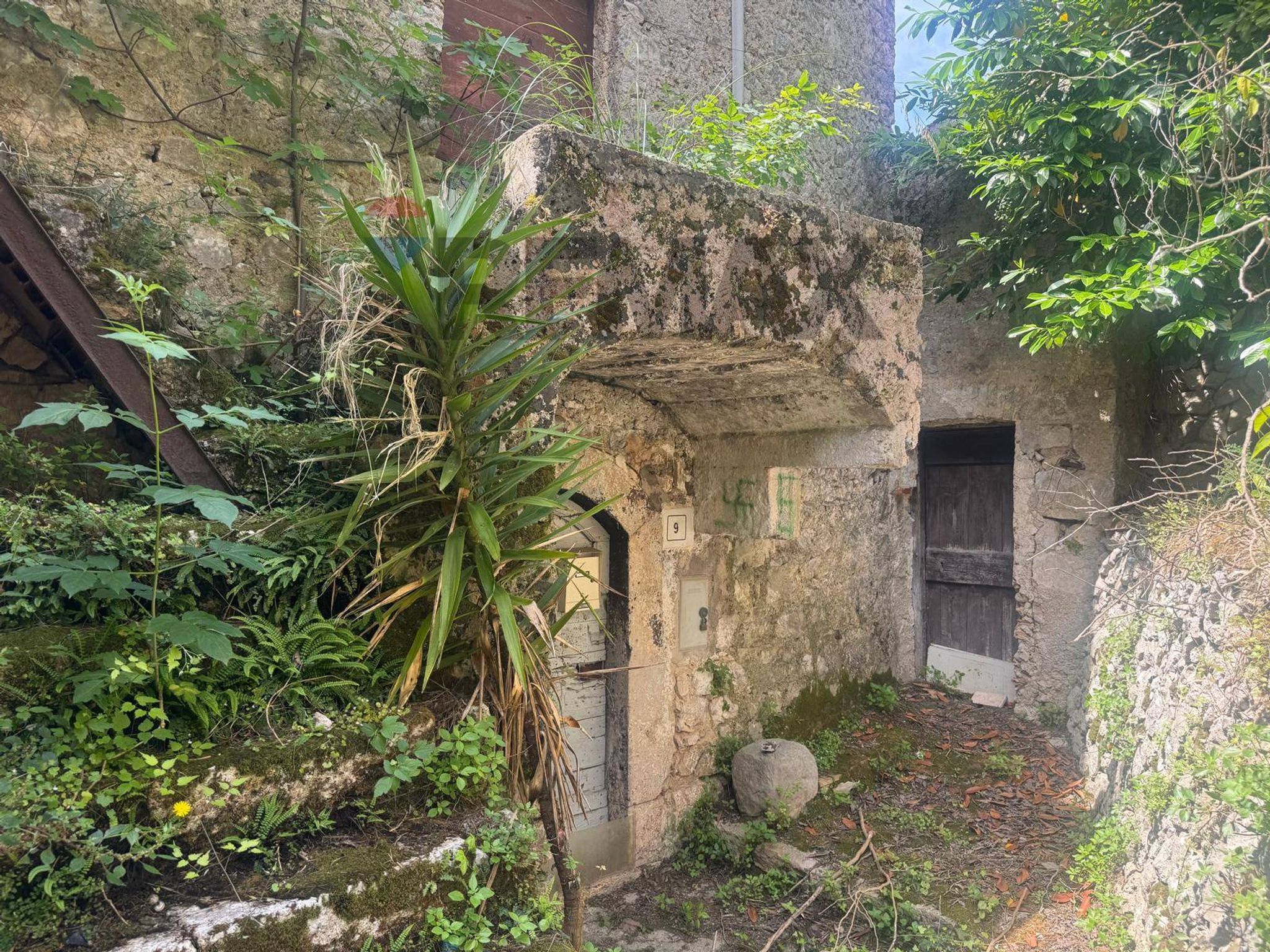 Giardino