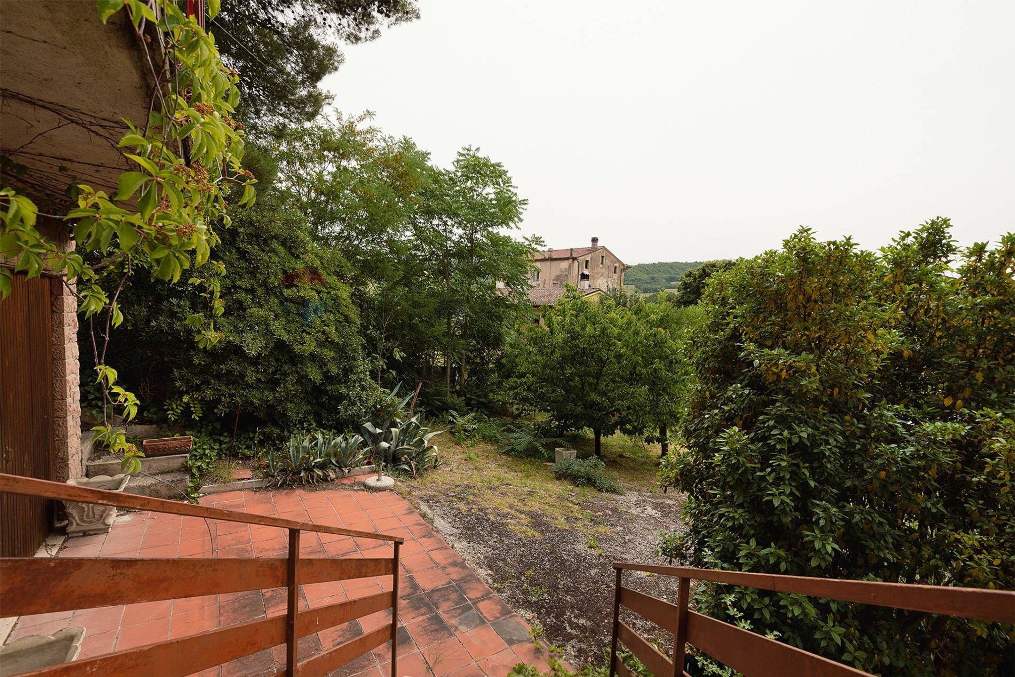 Giardino
