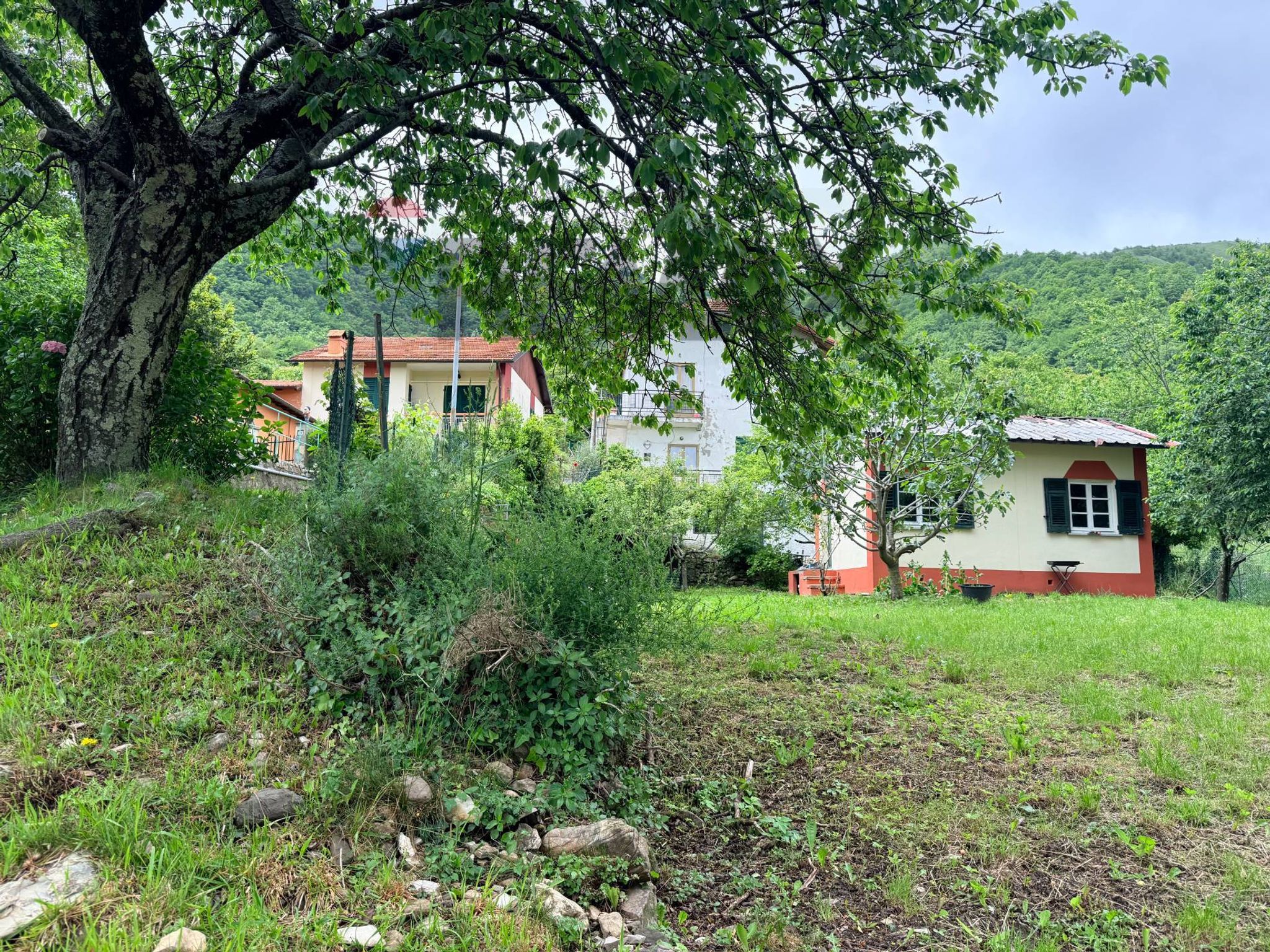 Giardino
