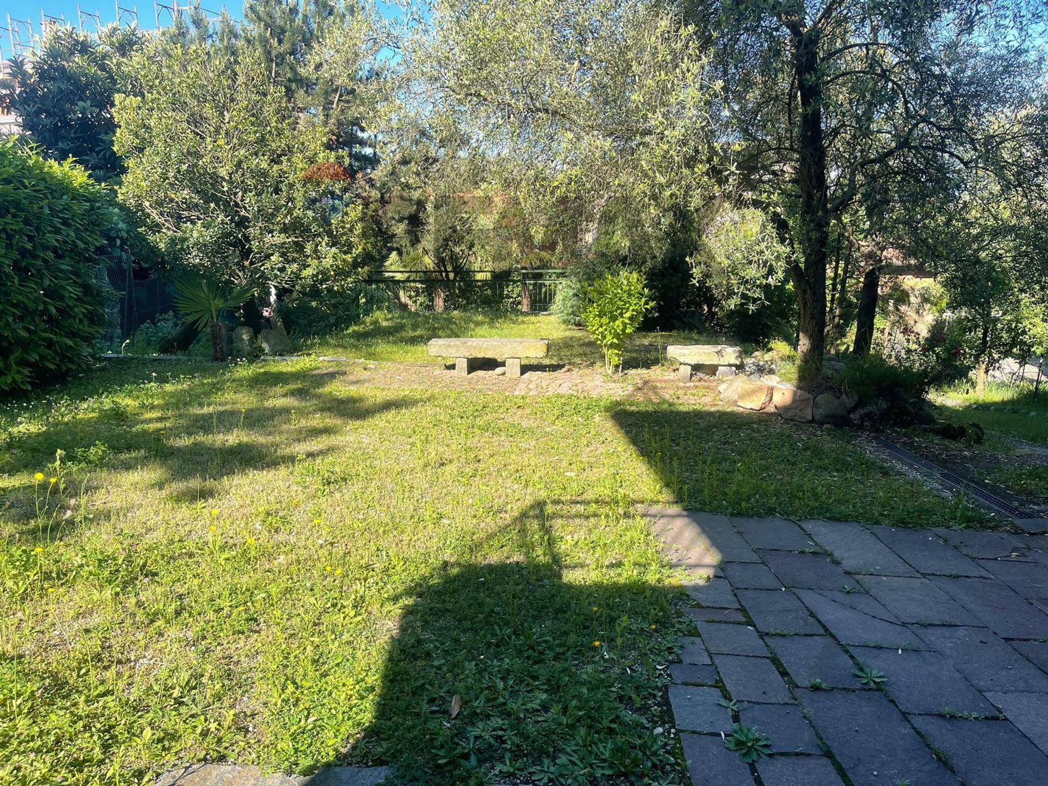 Giardino
