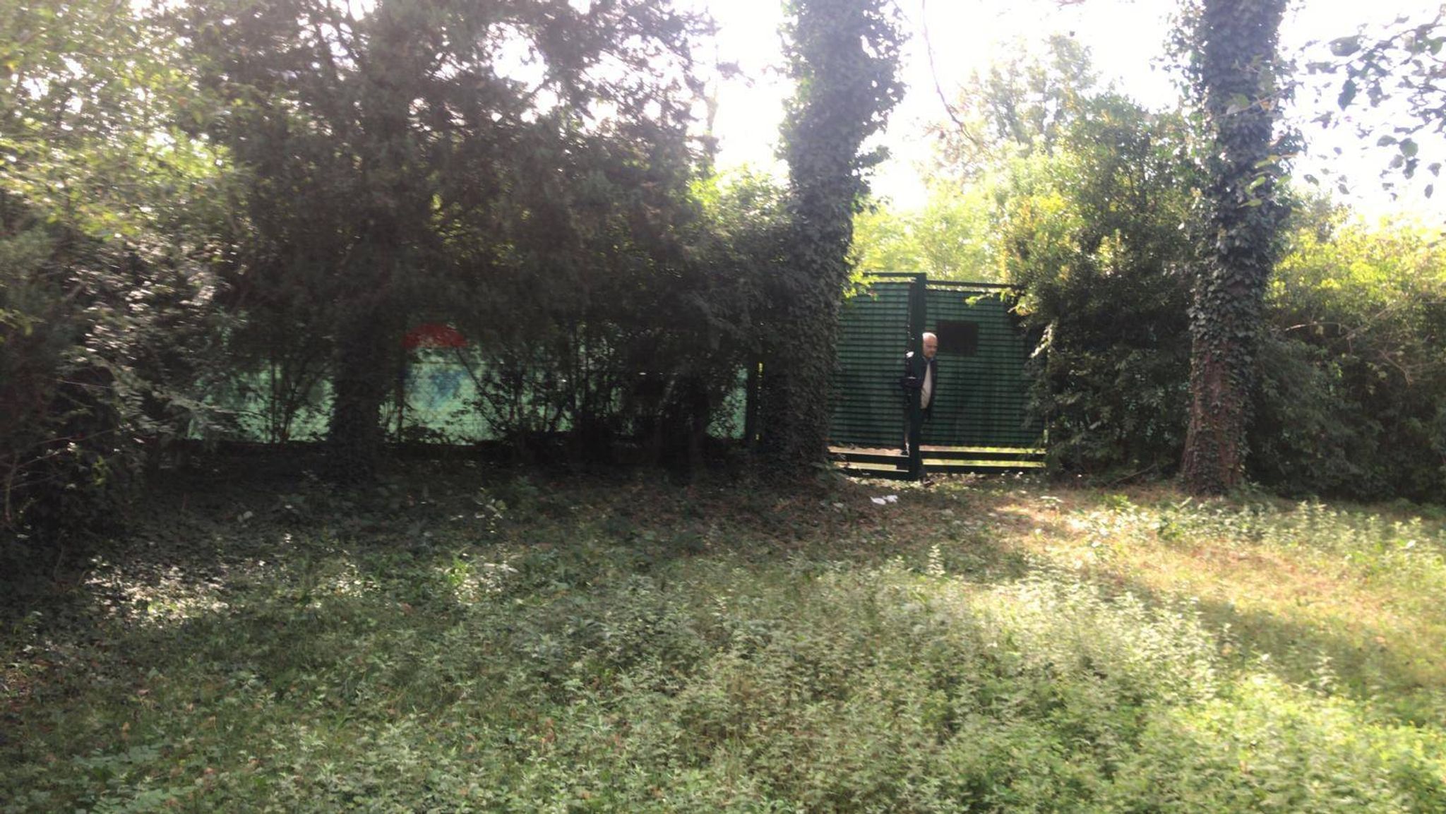 Giardino