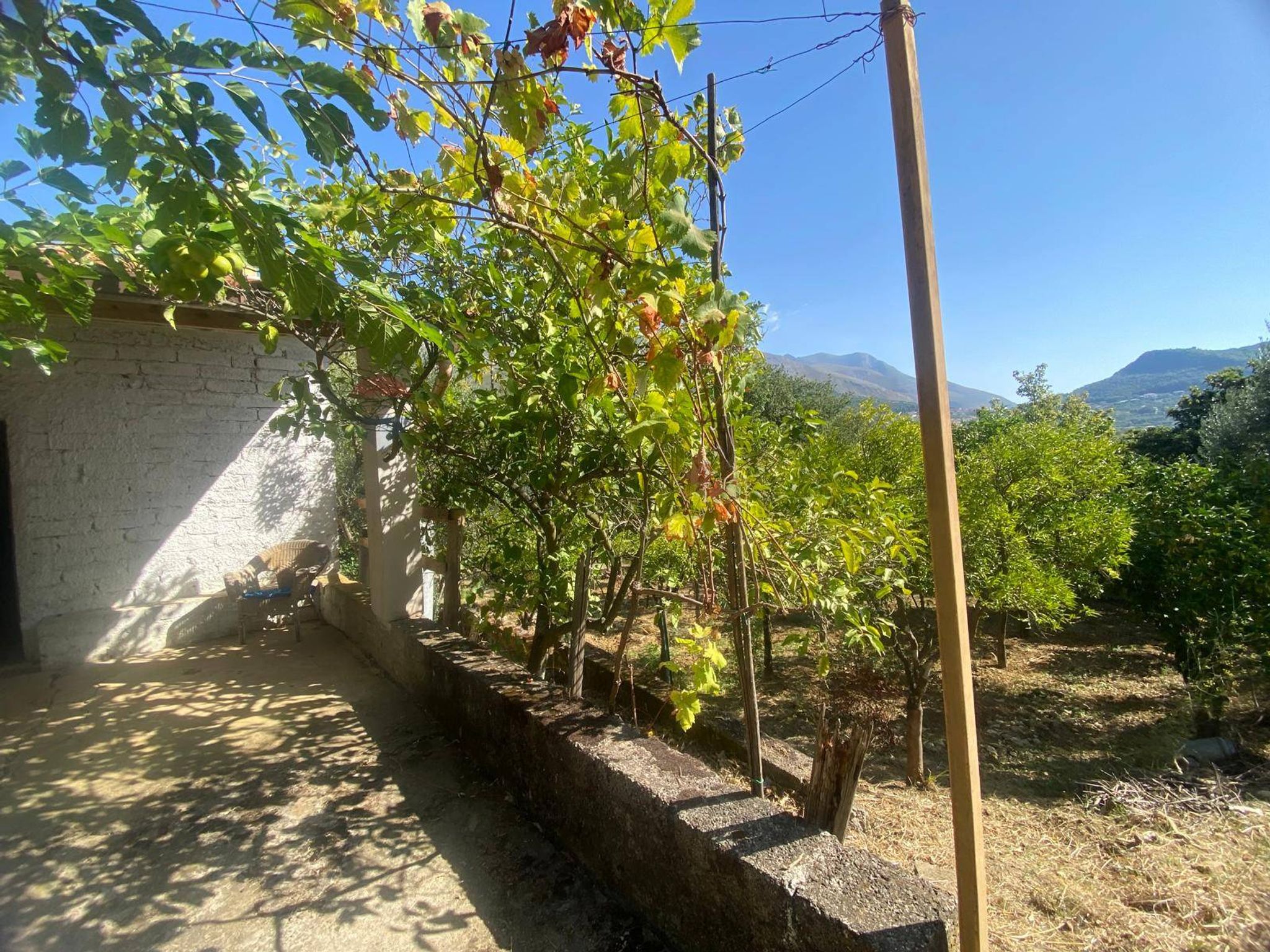 Giardino