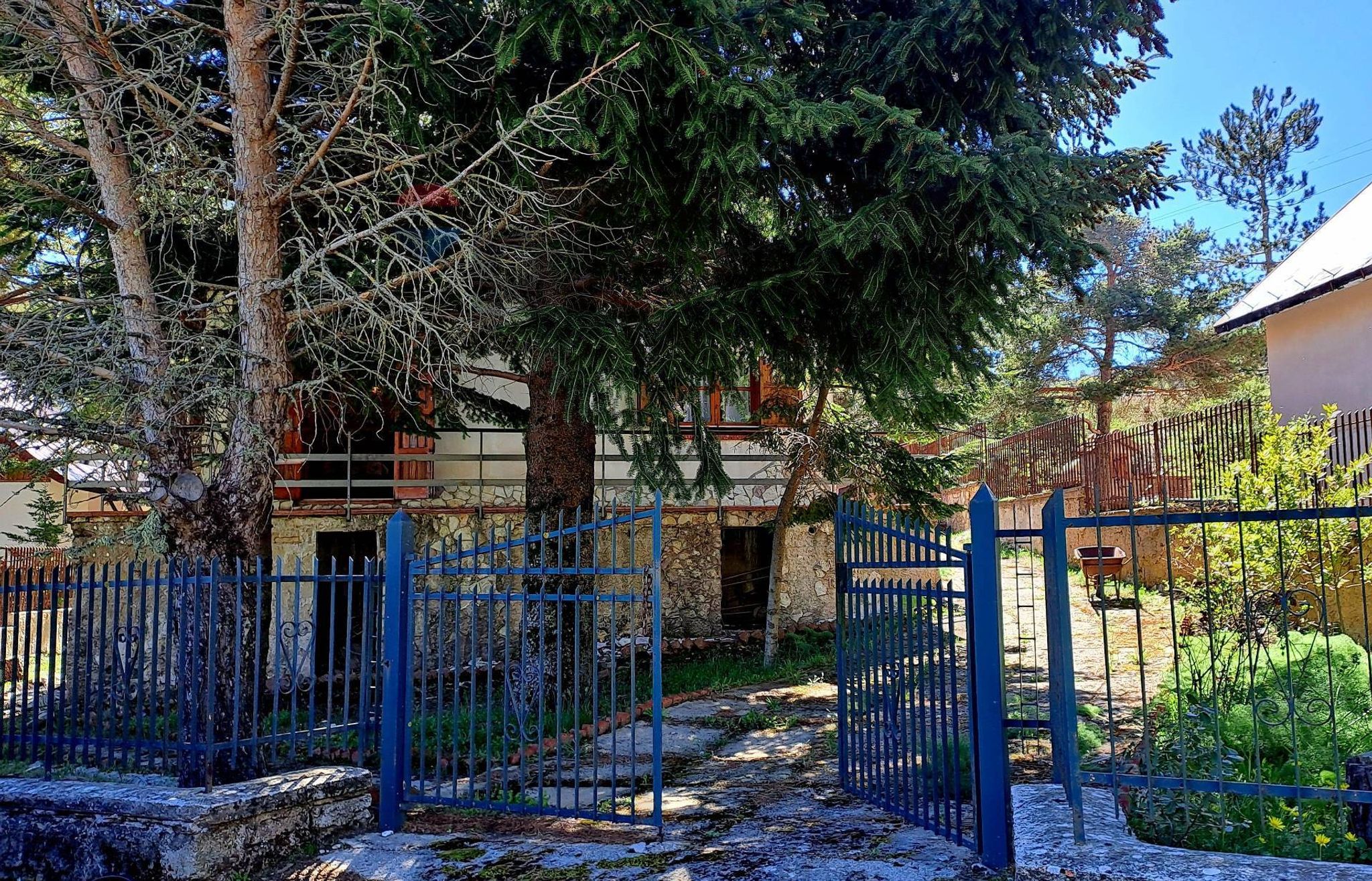 Ingresso