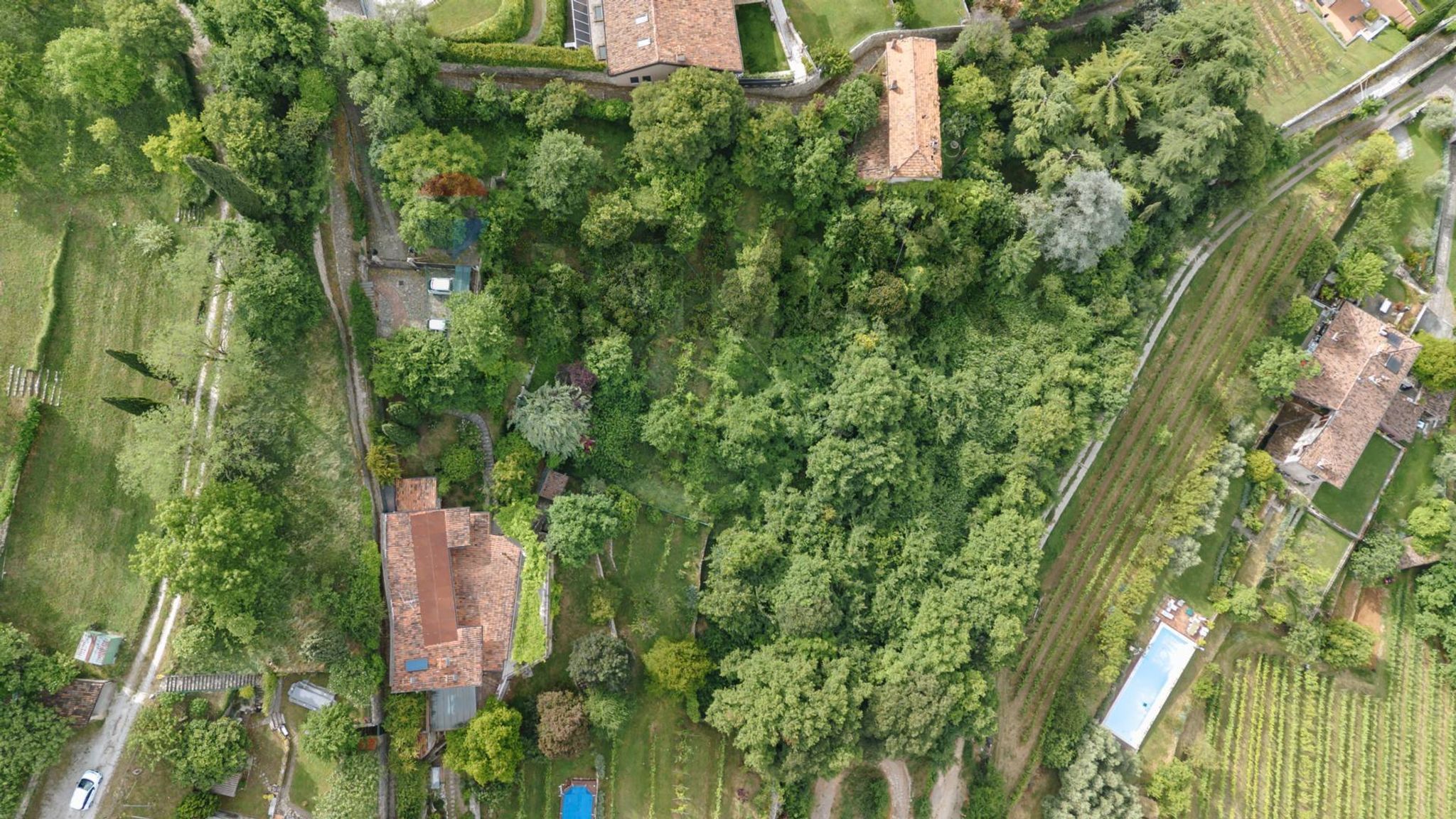 Posizione della mappa