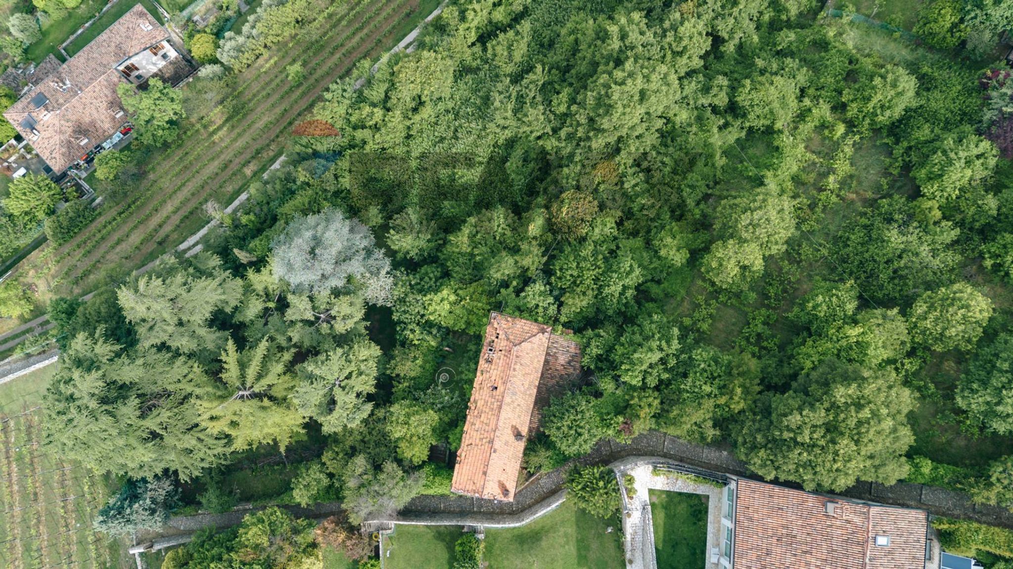 Posizione della mappa