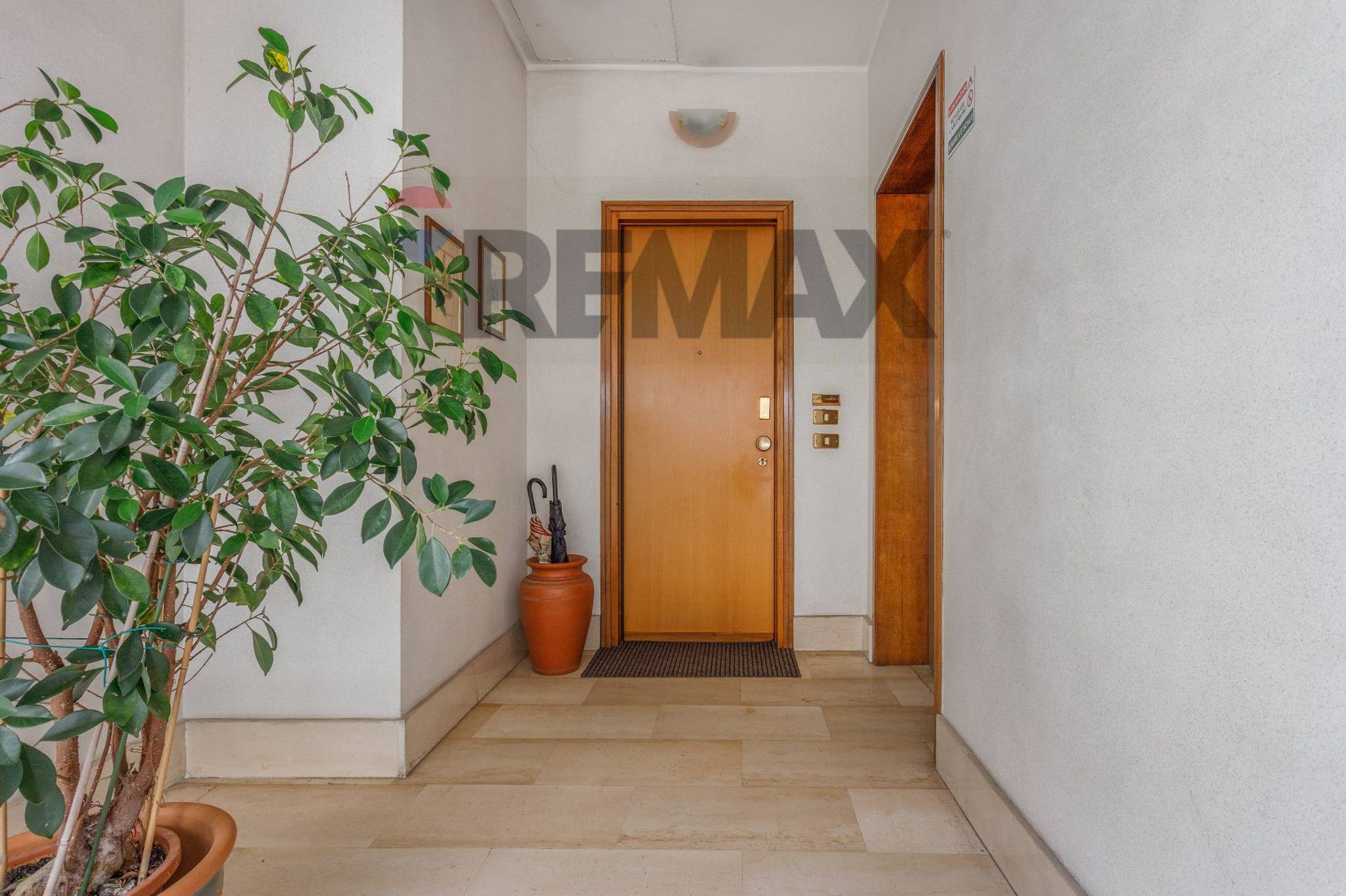 Hall / corridoio