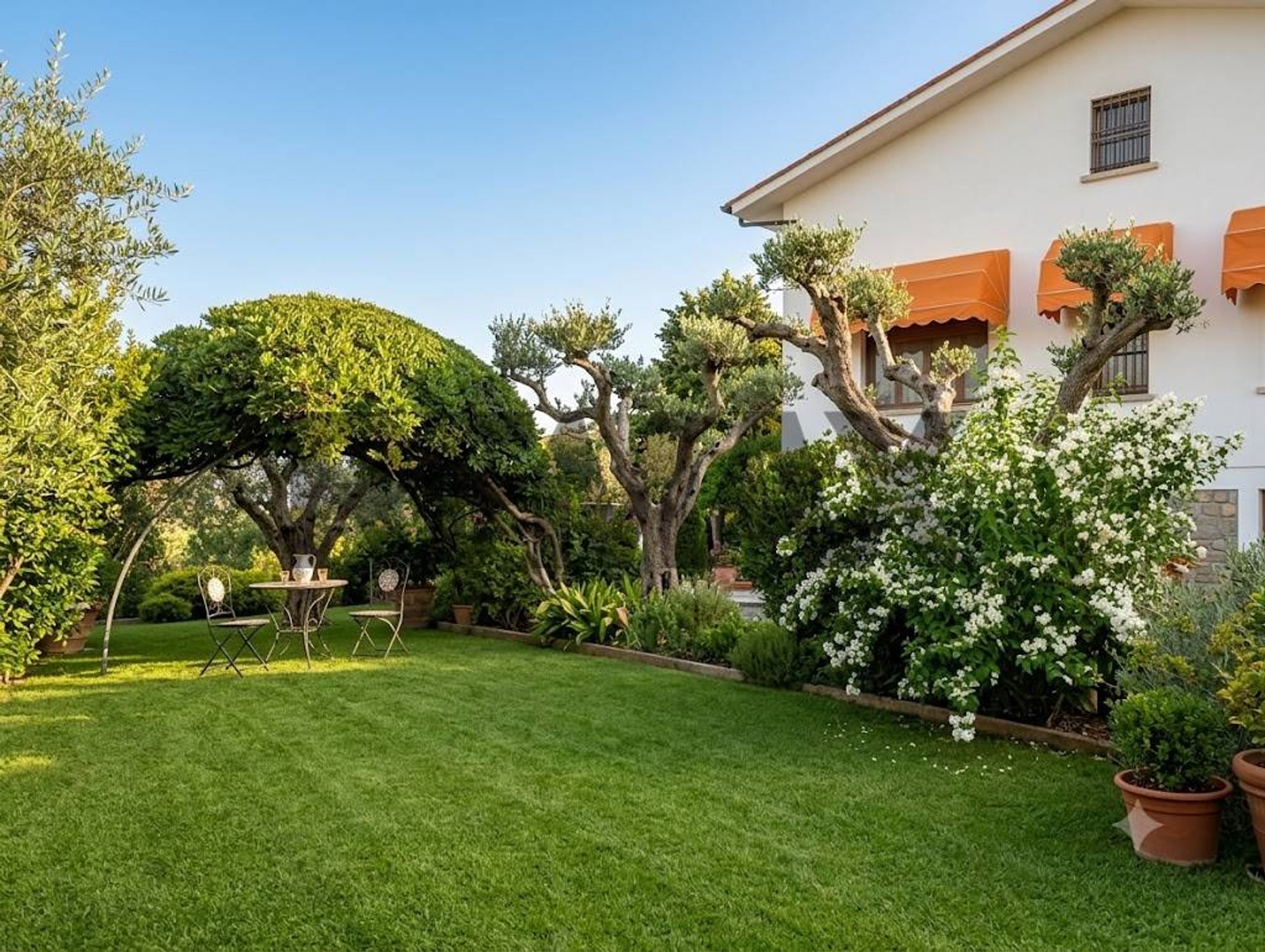 Giardino