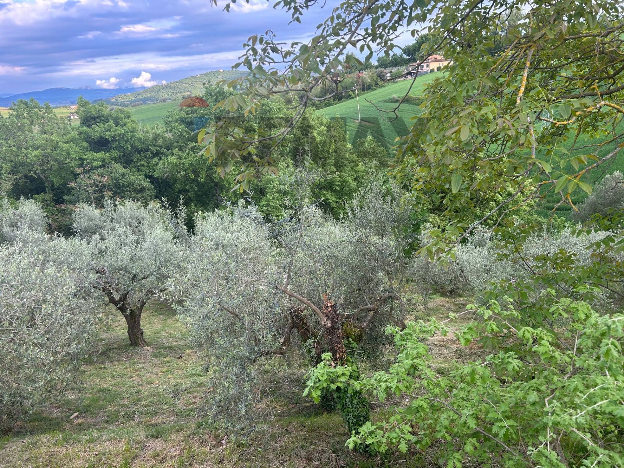 Vista delle montagne
