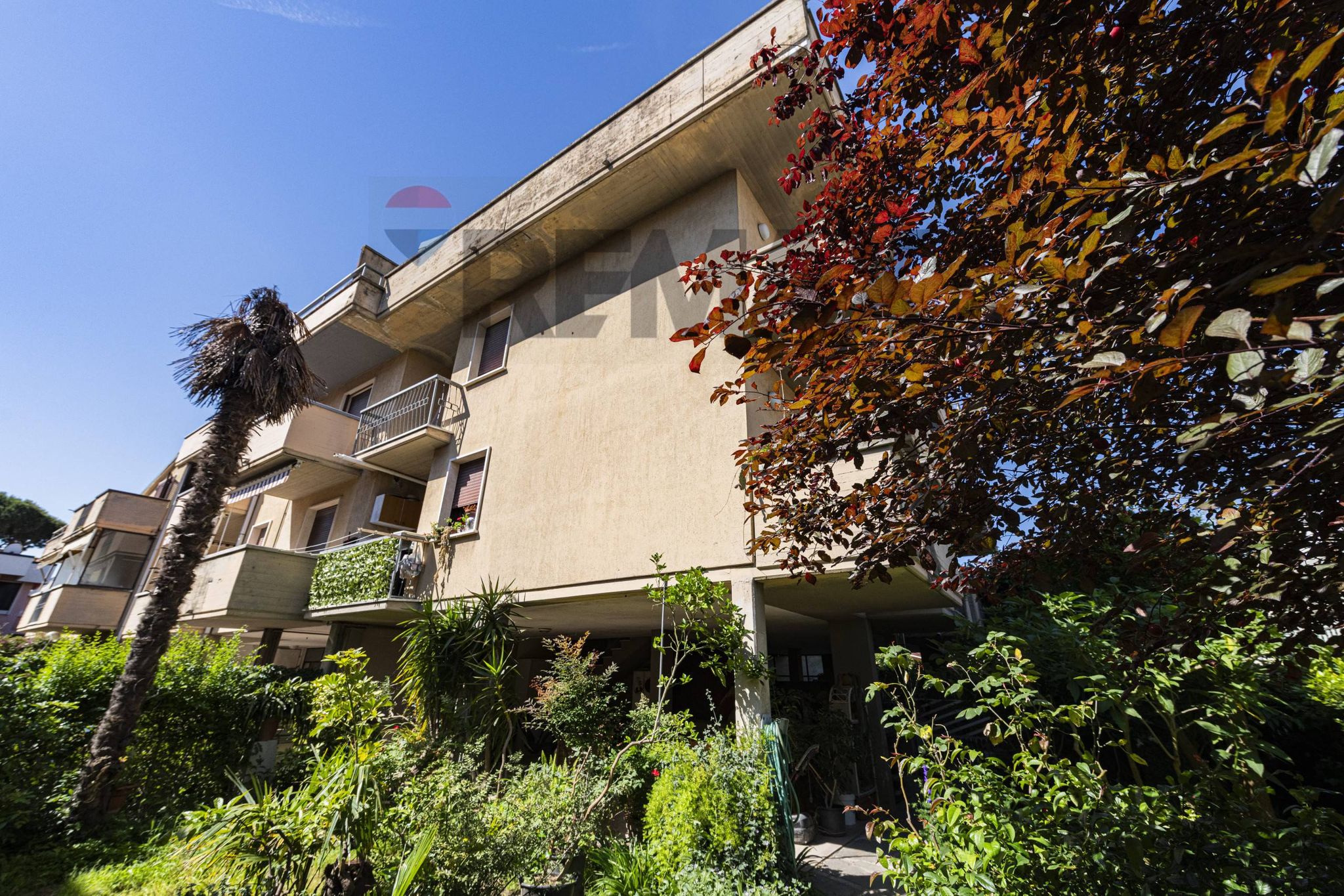 Property in Viareggio