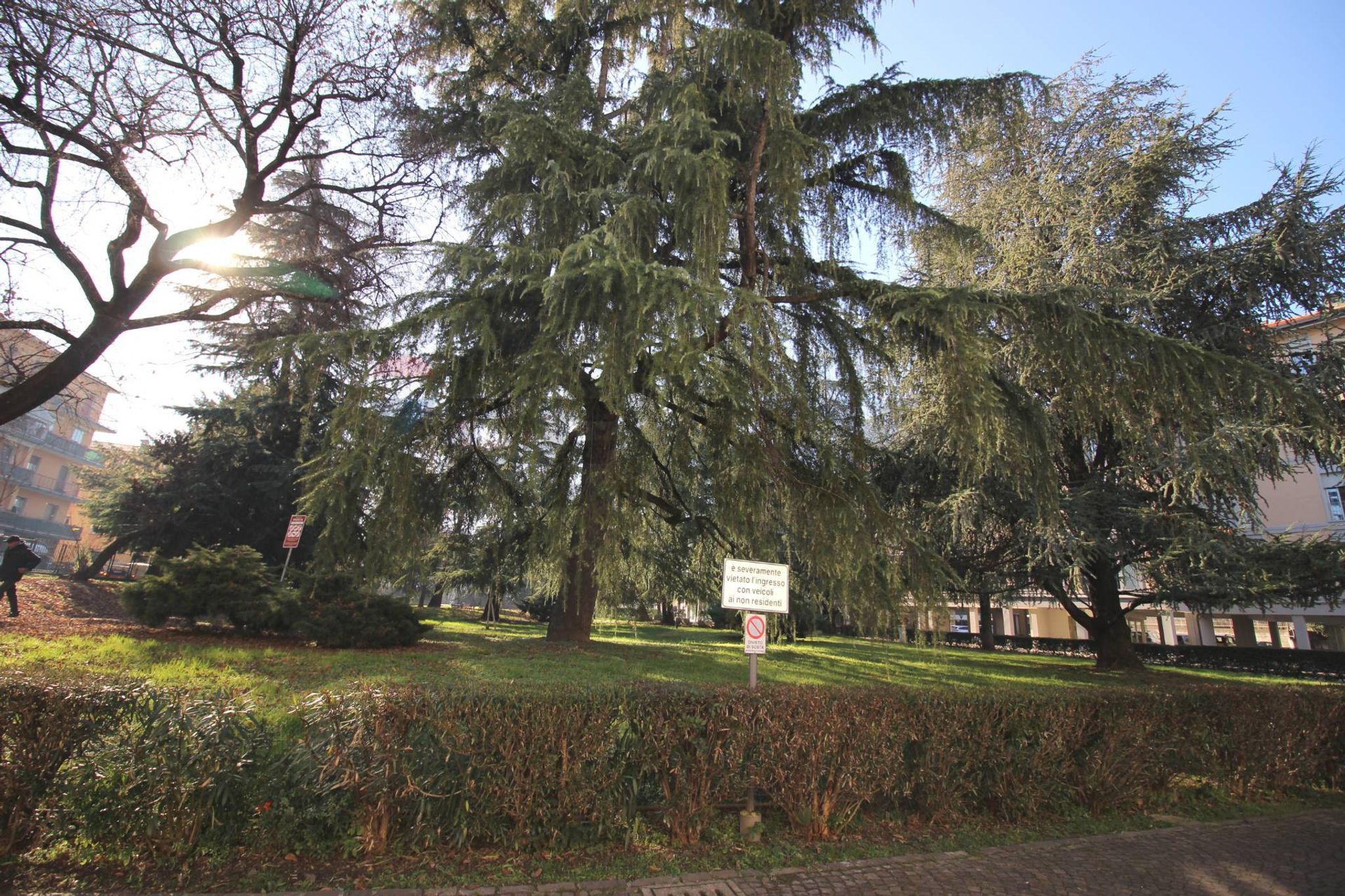 Giardino