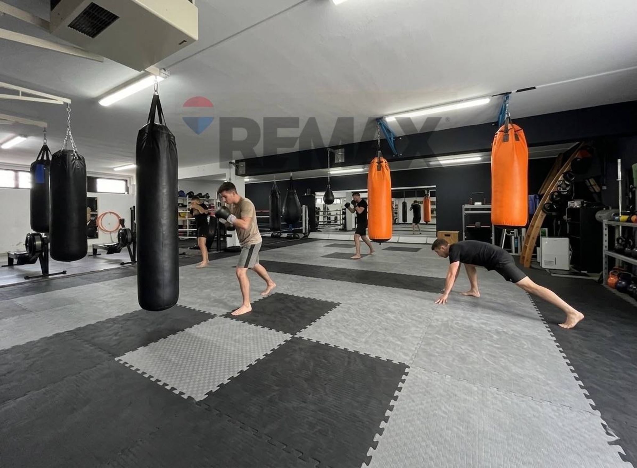 Palestra