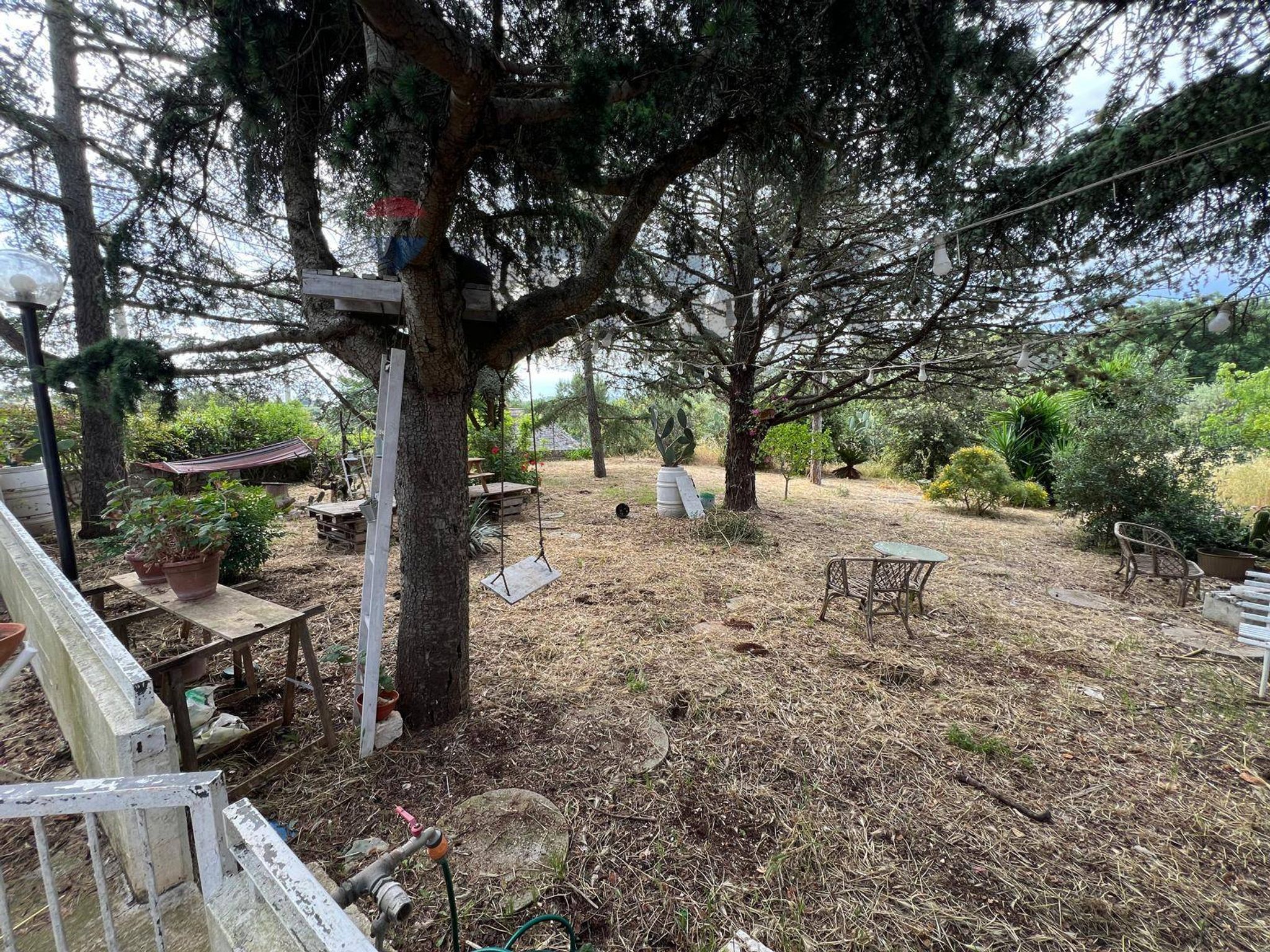 Giardino