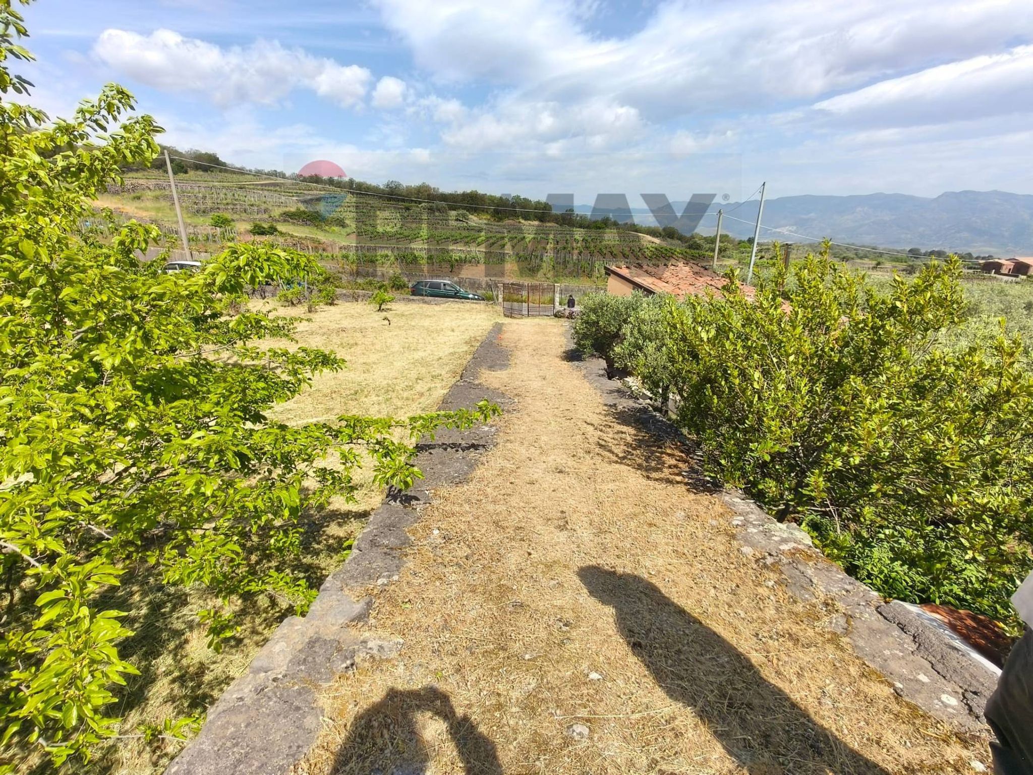 Vista delle montagne