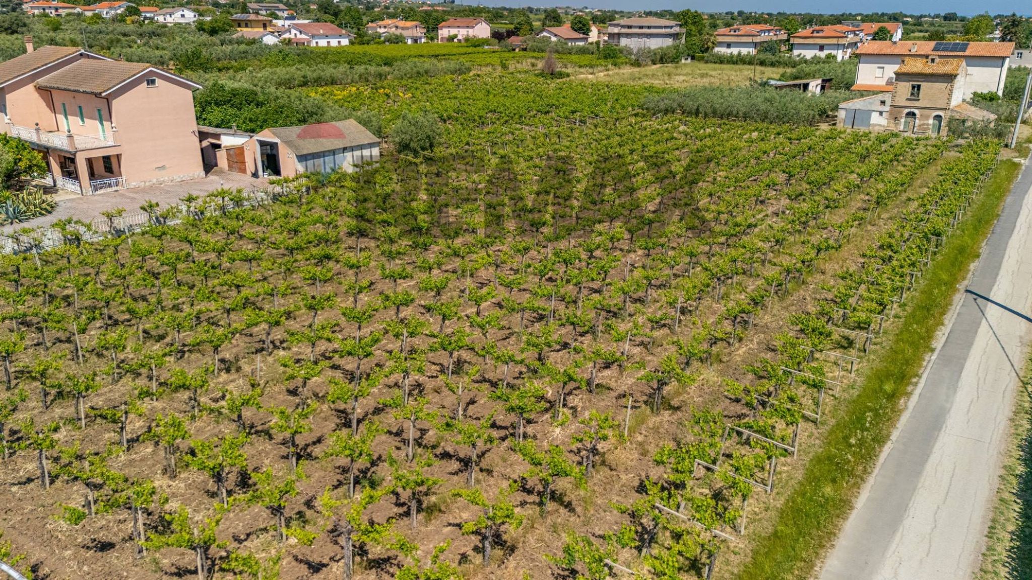 Giardino