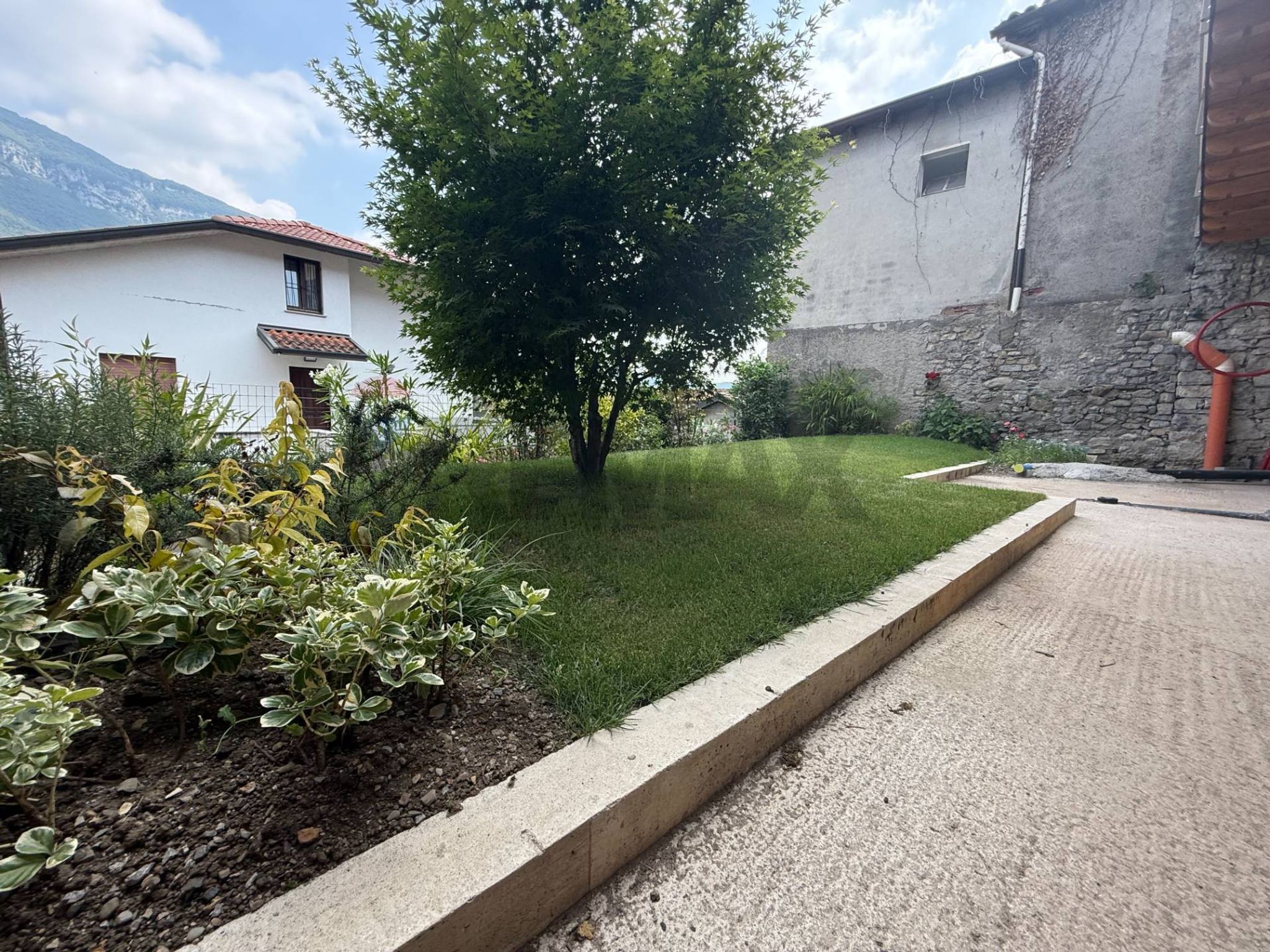Giardino