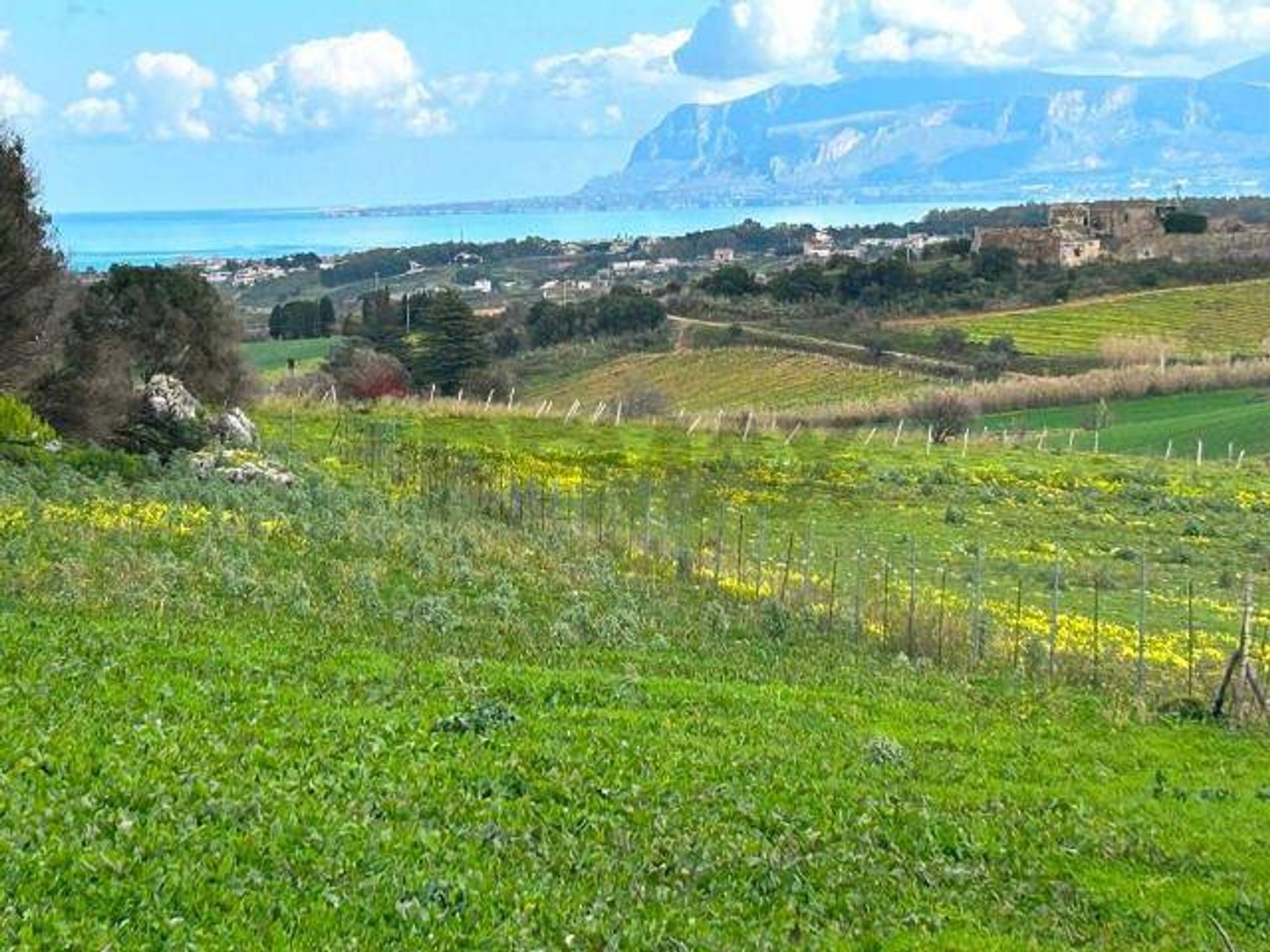 Vista delle montagne