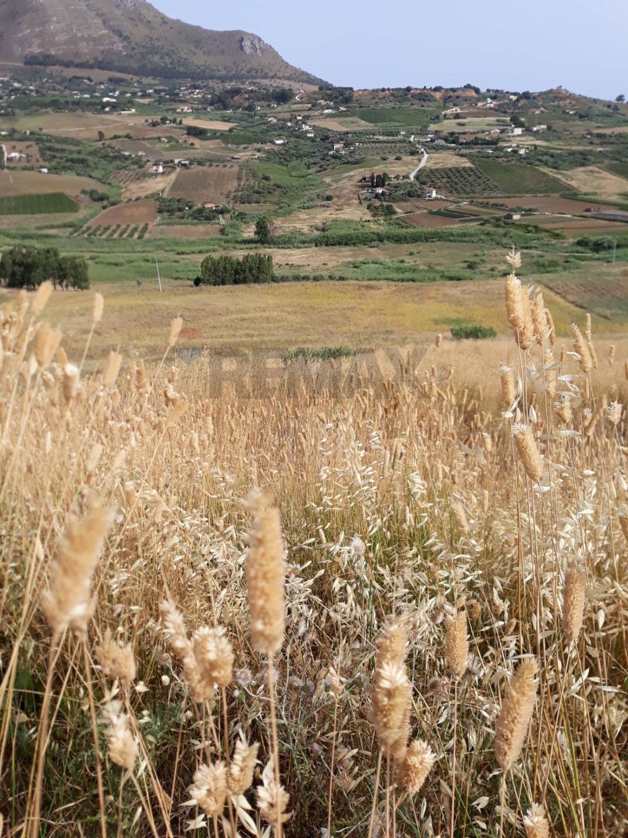 Vista delle montagne