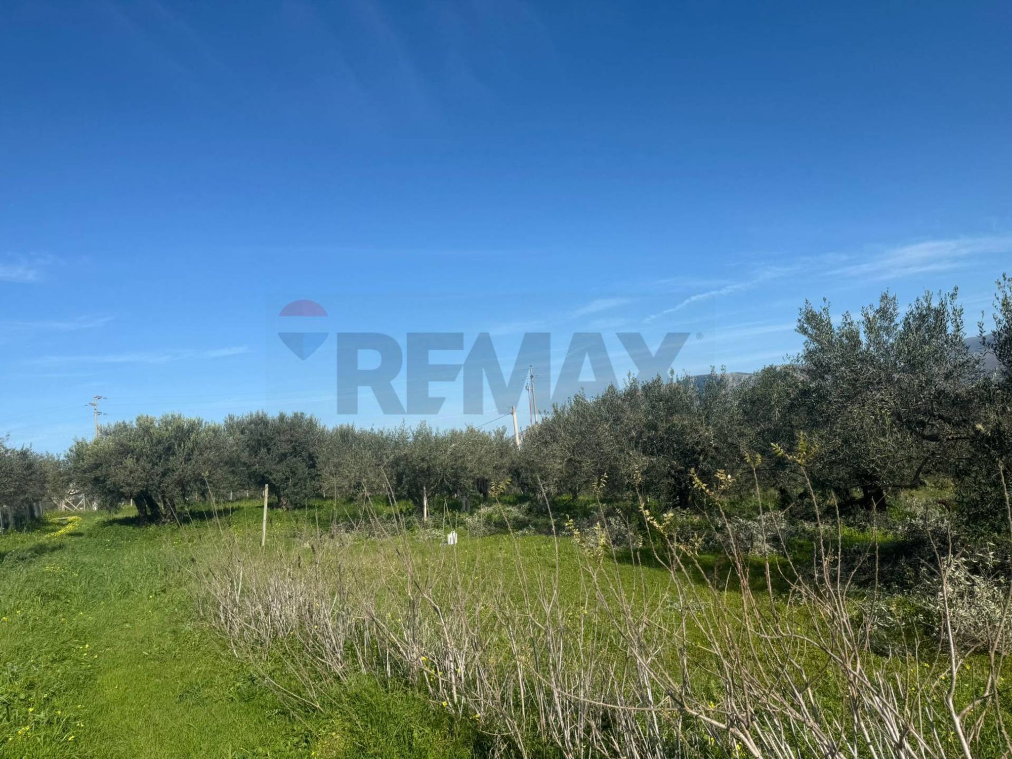 Property in Partinico