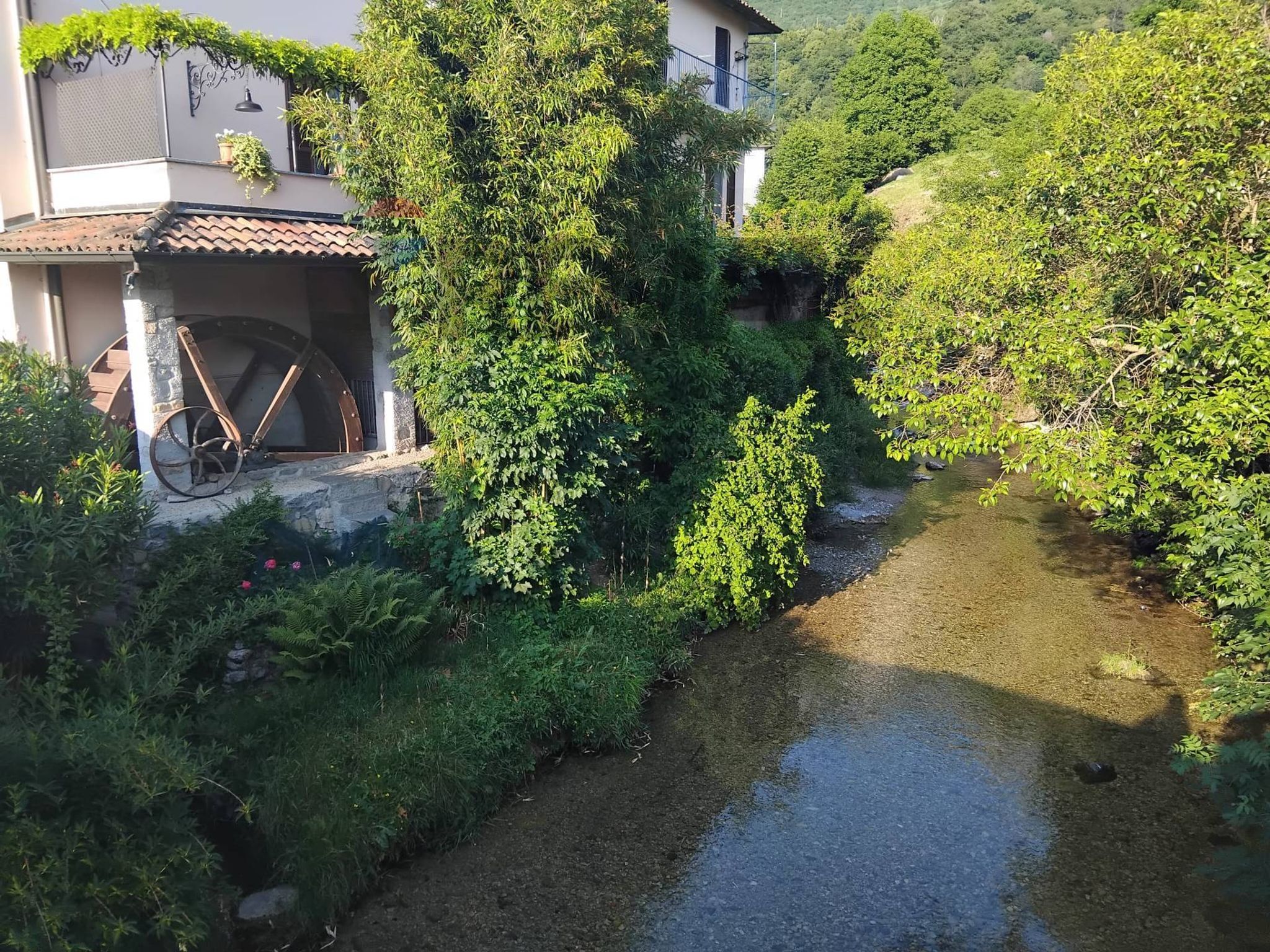 Giardino