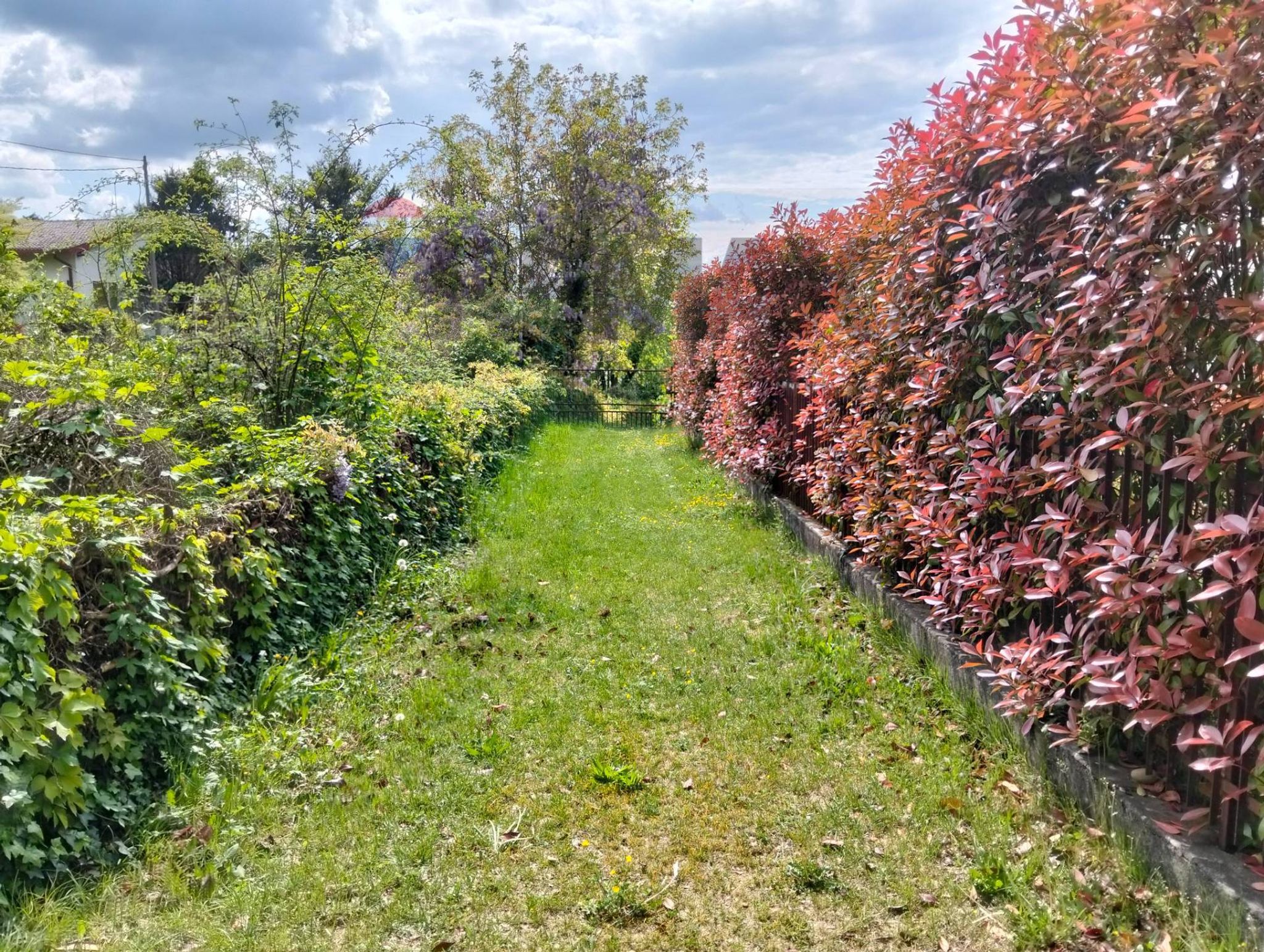 Giardino