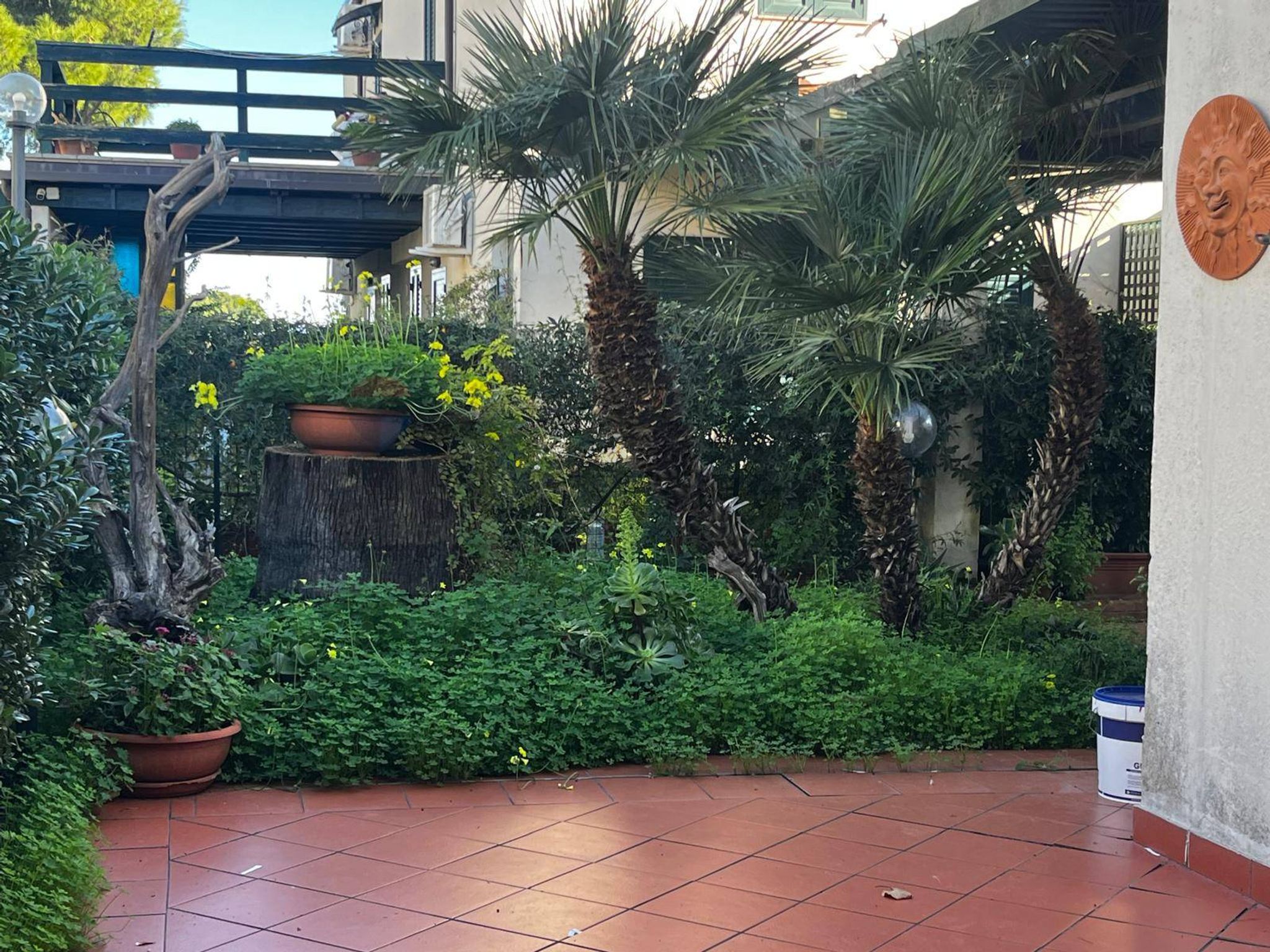 Giardino