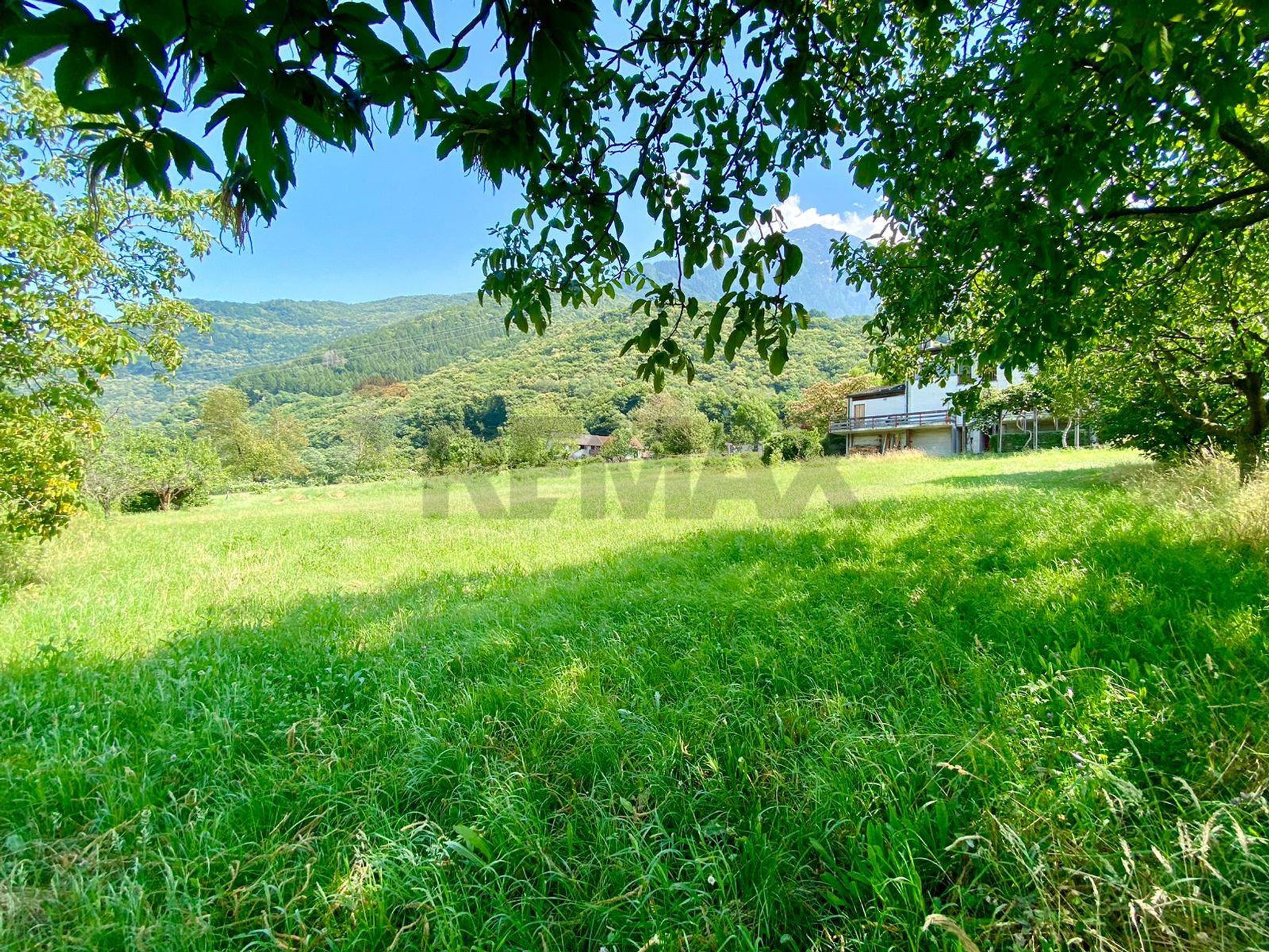 Giardino