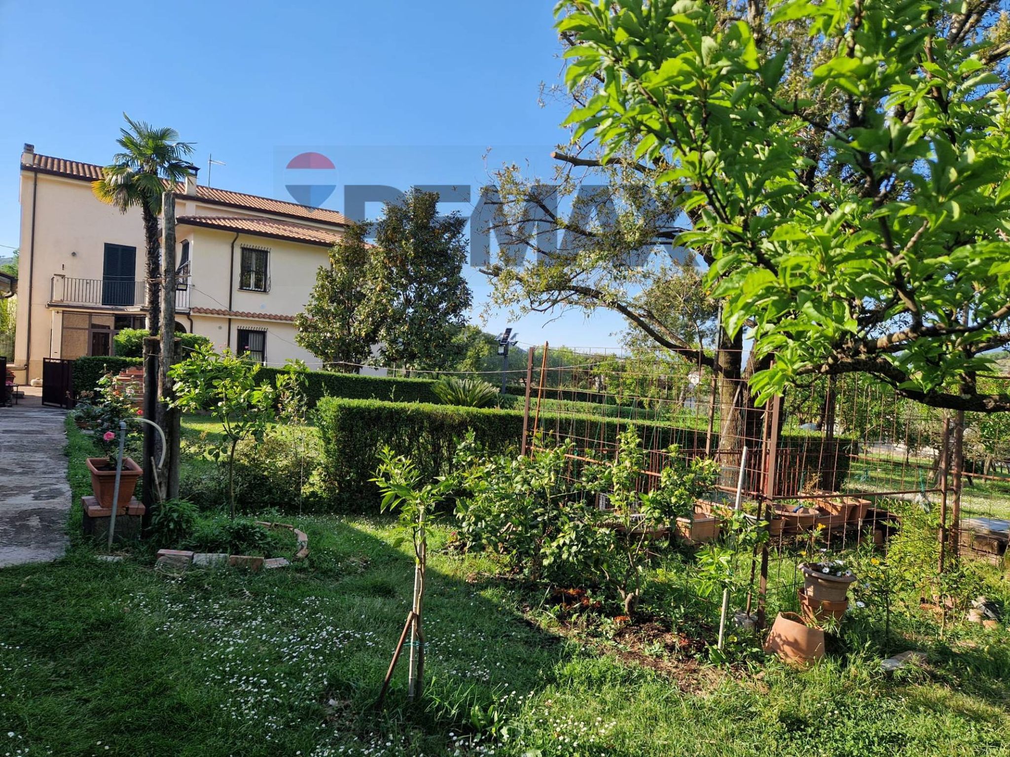 Giardino