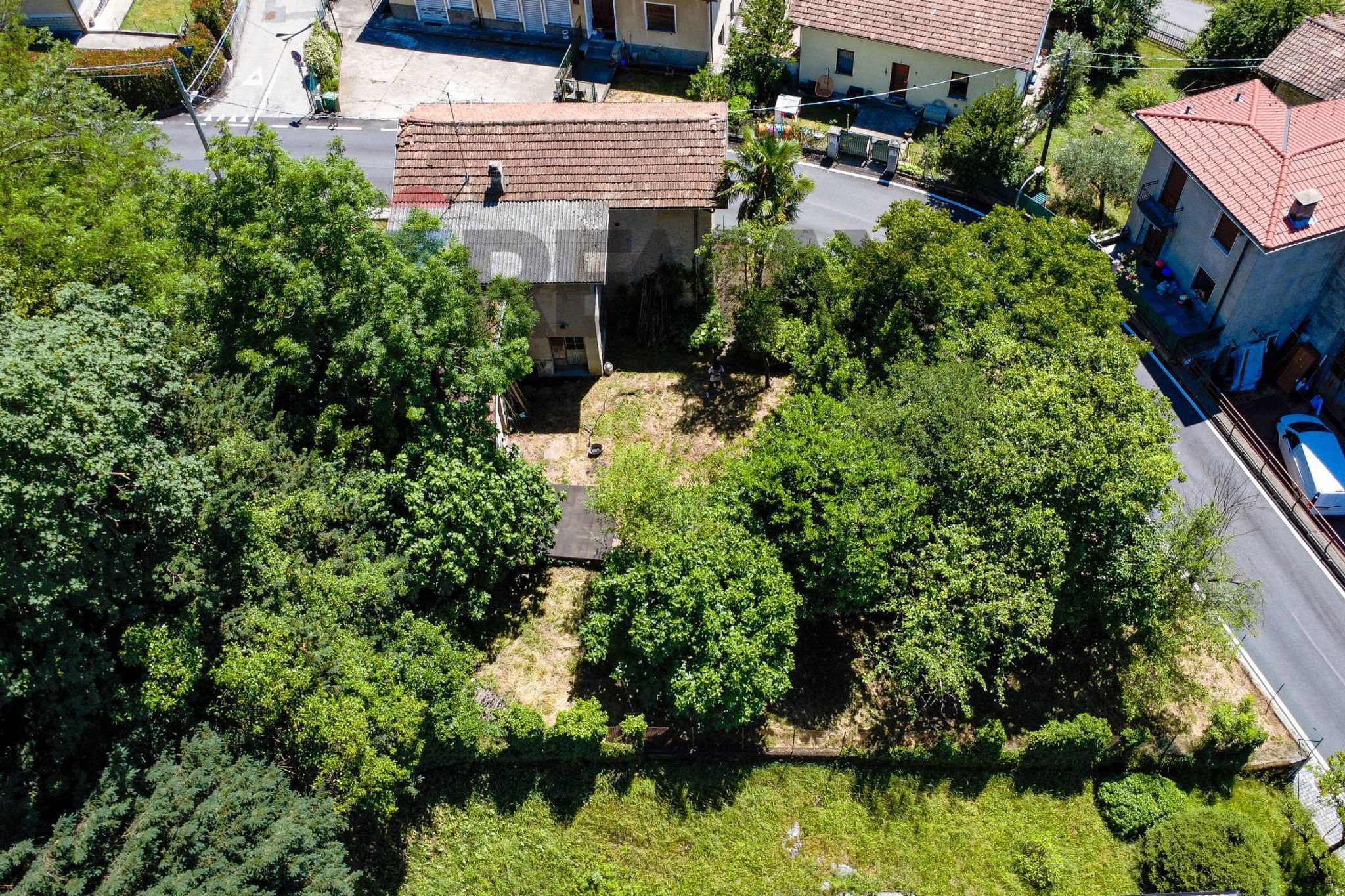 Giardino