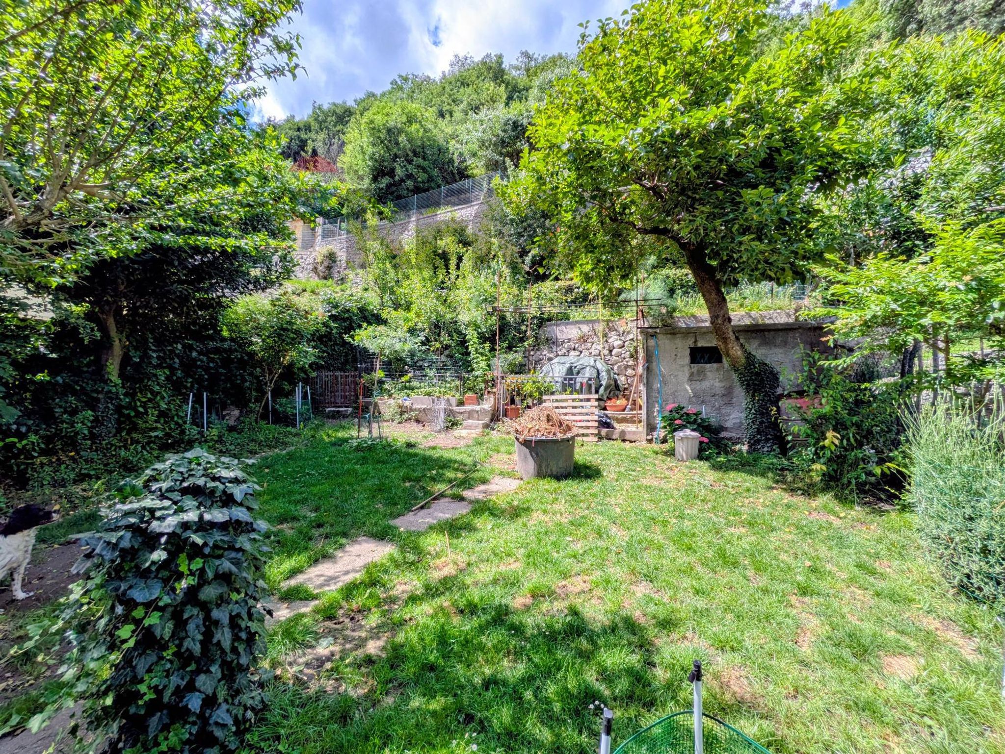 Giardino