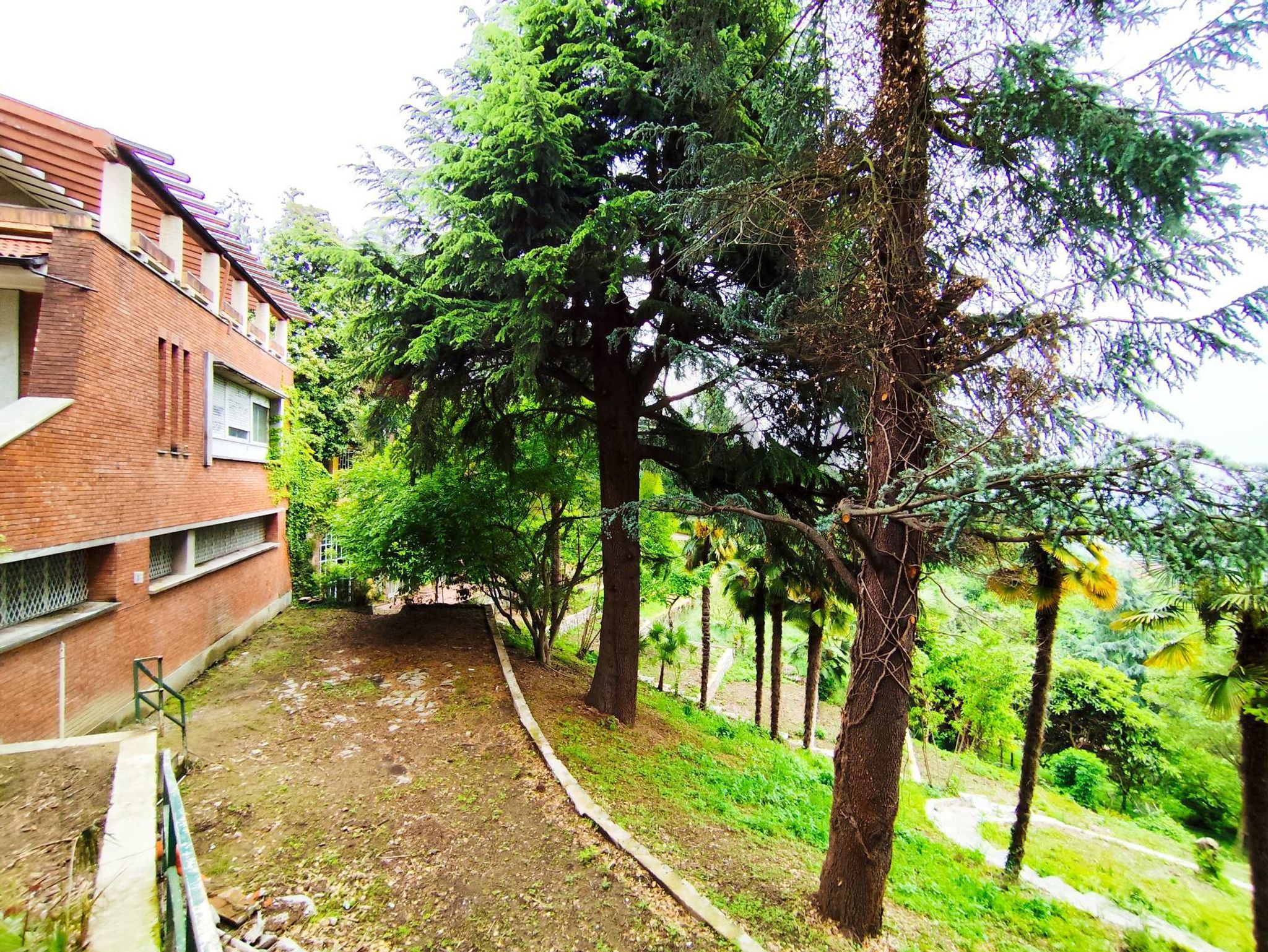 Giardino