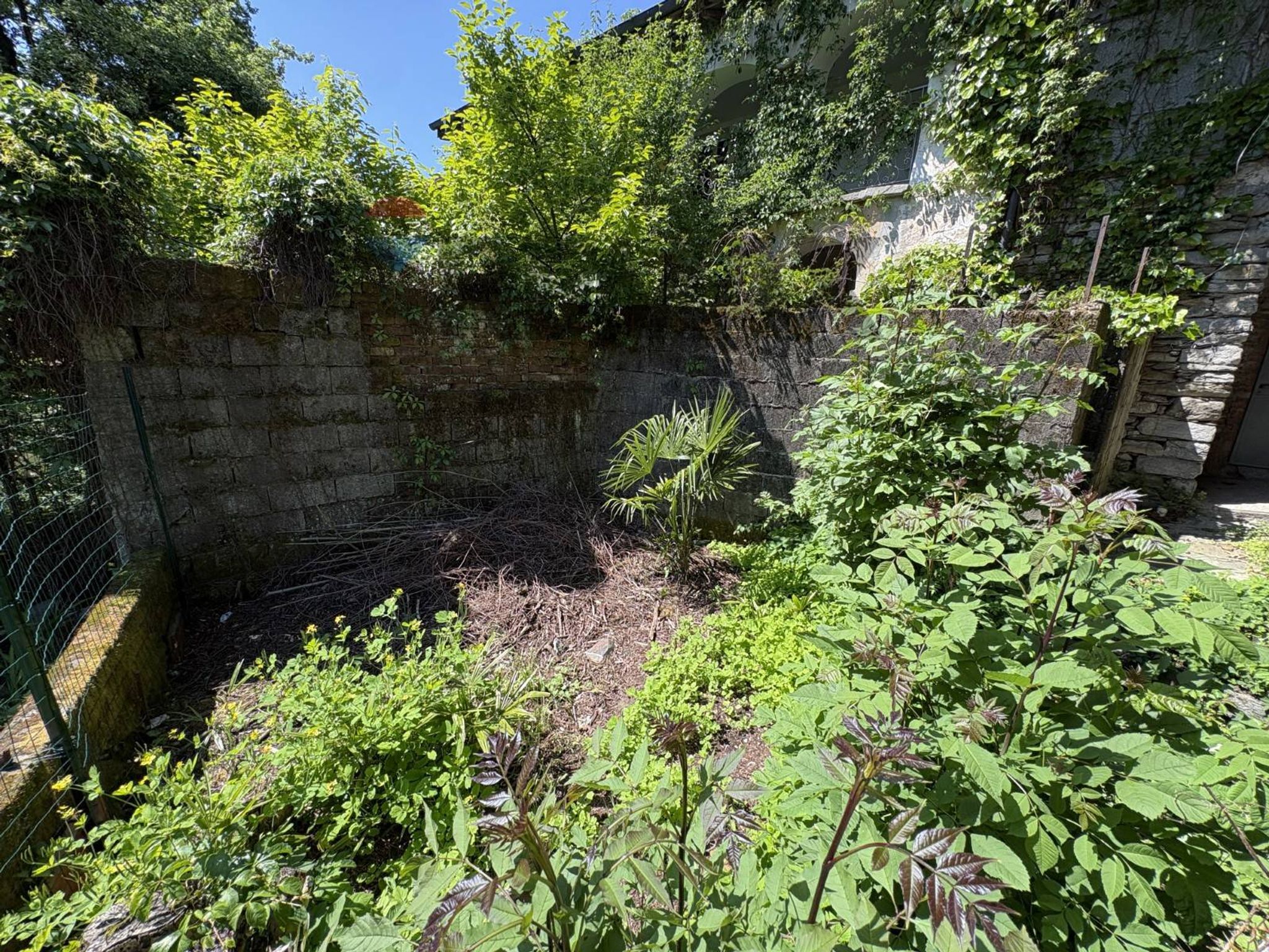 Giardino