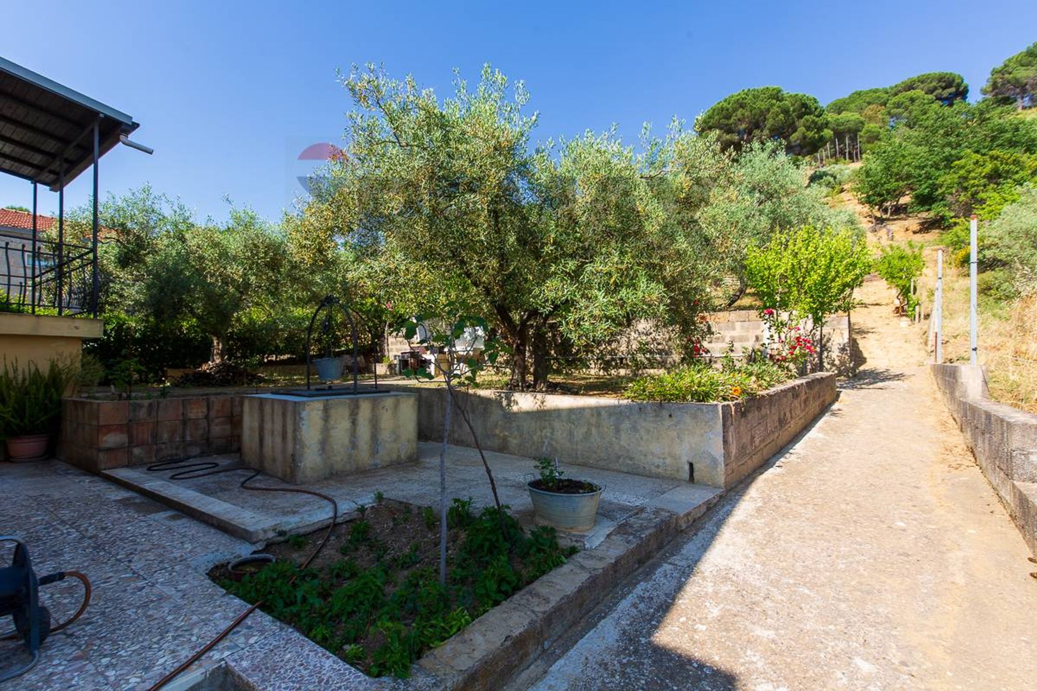 Giardino